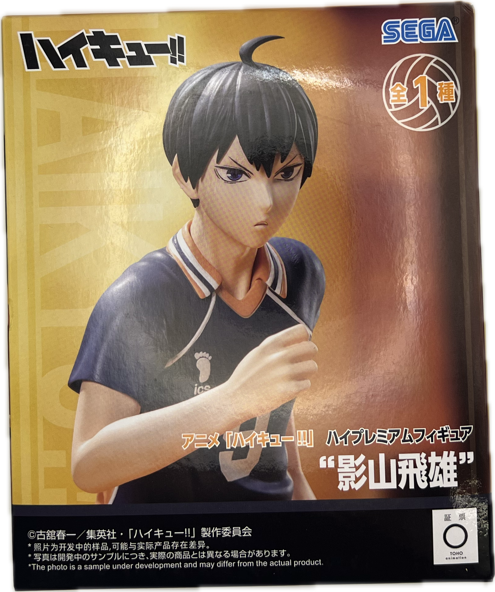Tobio Kageyama Figure