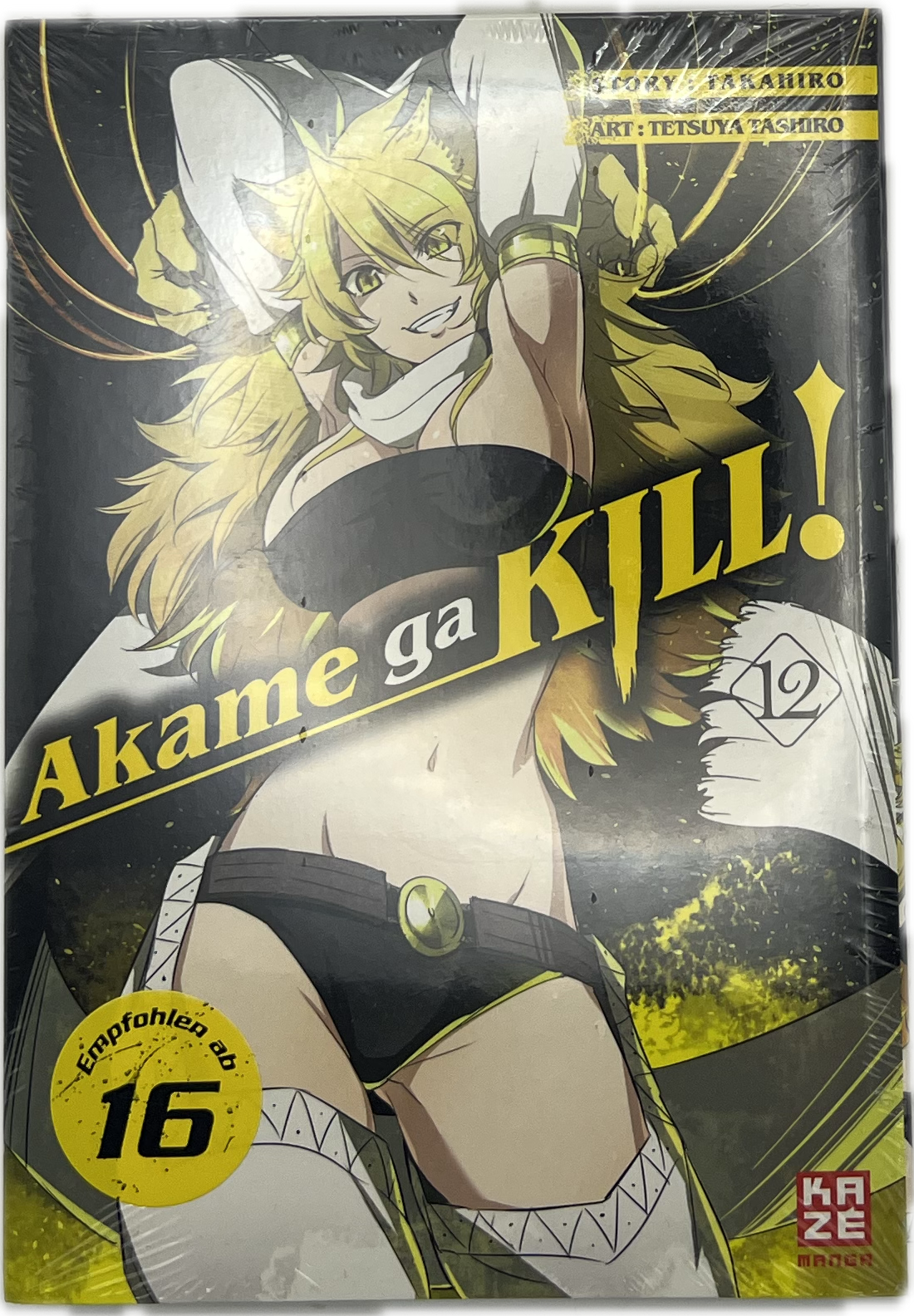 Akame Ga Kill 12 | Manayga