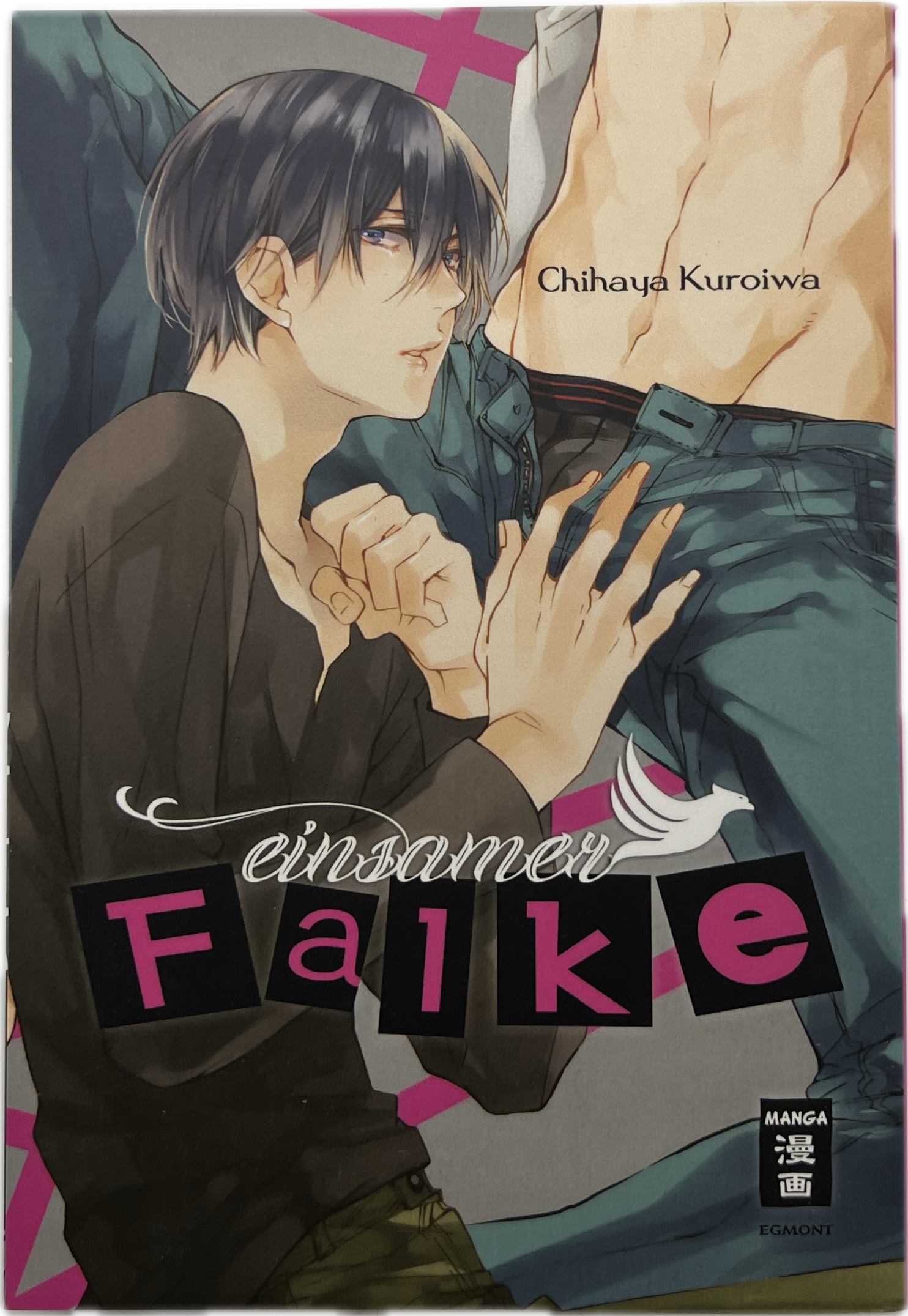 Einsamer Falke