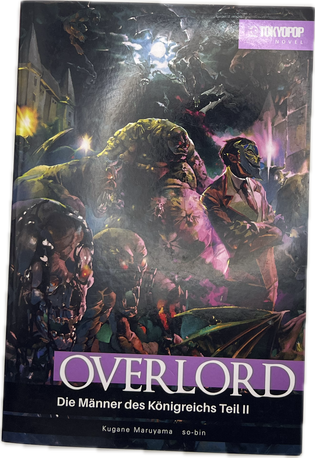 Overlord Novel 06