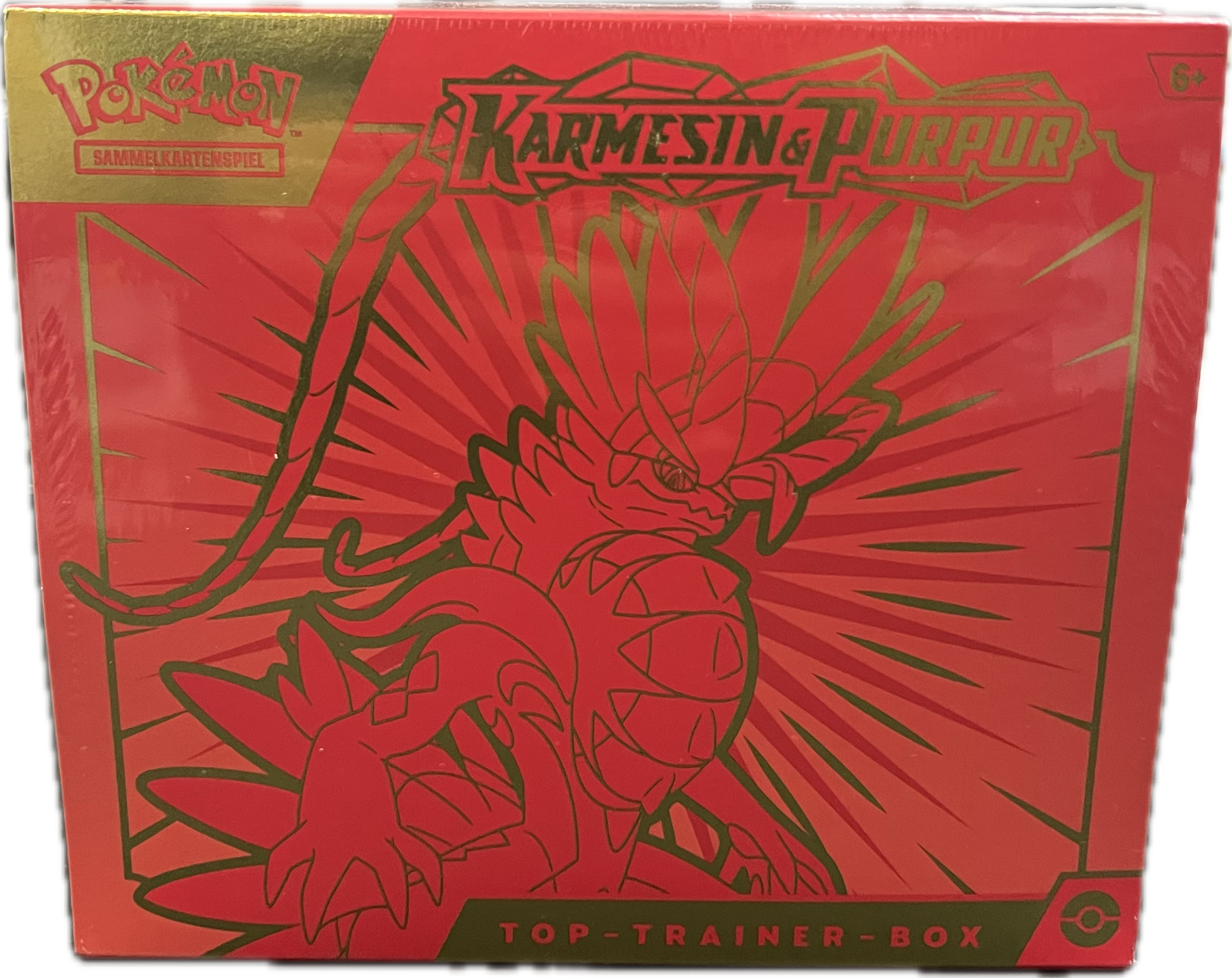 Pokemon TCG Top-Trainer-Box – Karmesin & Purpur (Koraidon) Deutsch