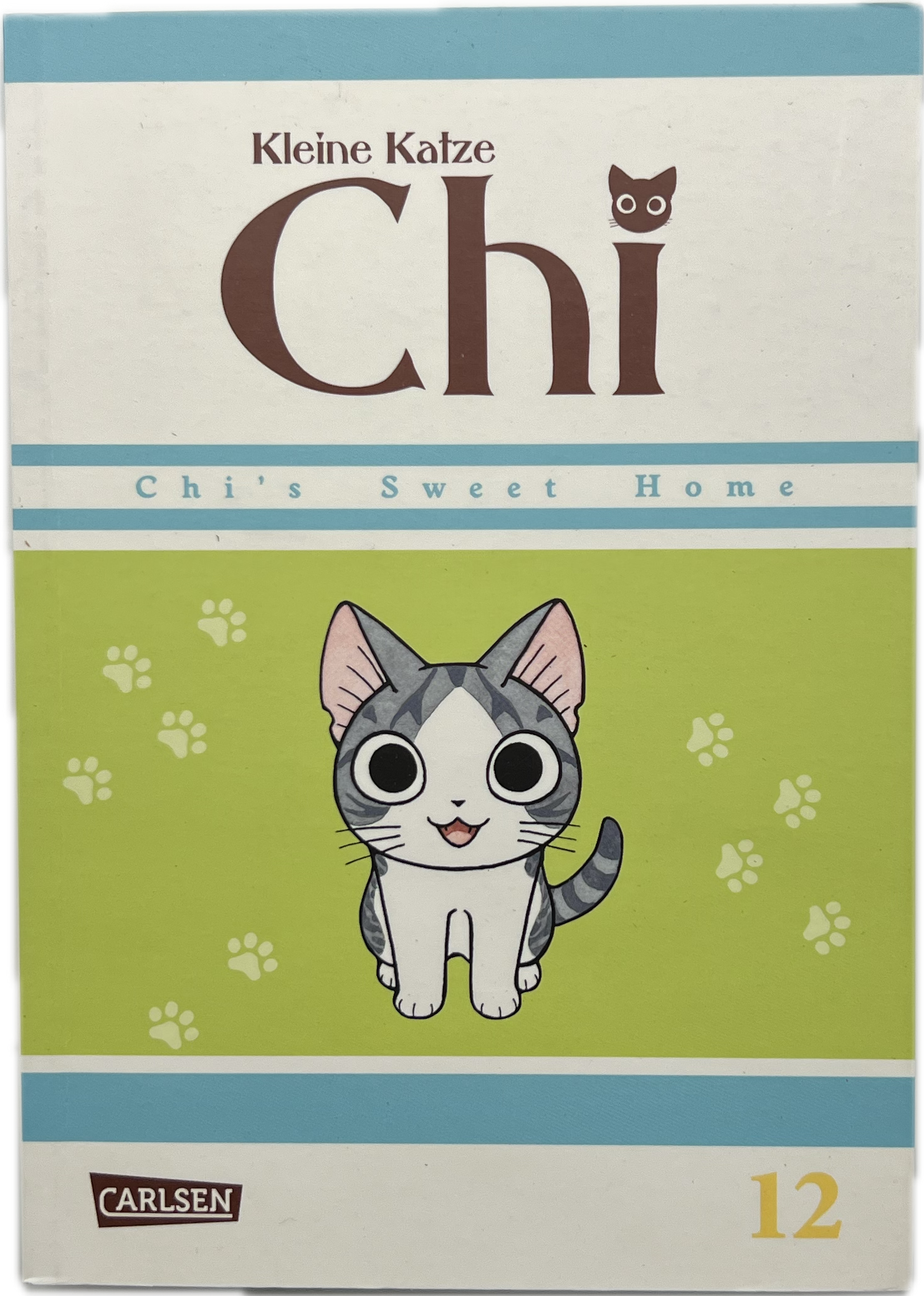 Kleine Katze Chi 12