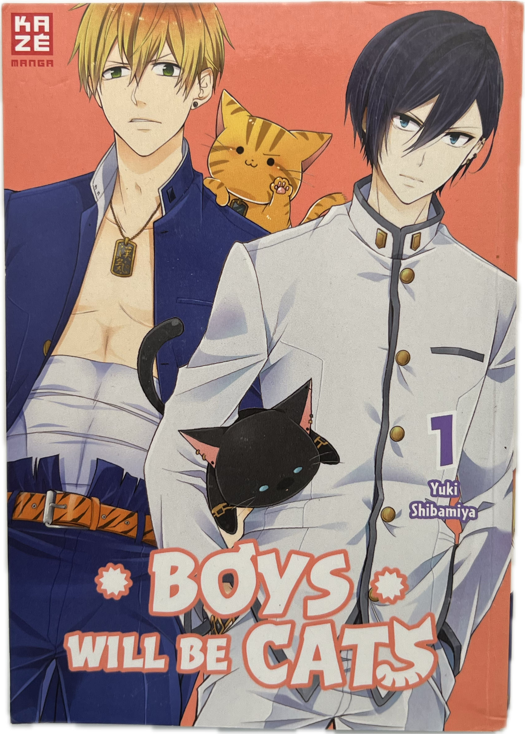Boys will be Cats 01