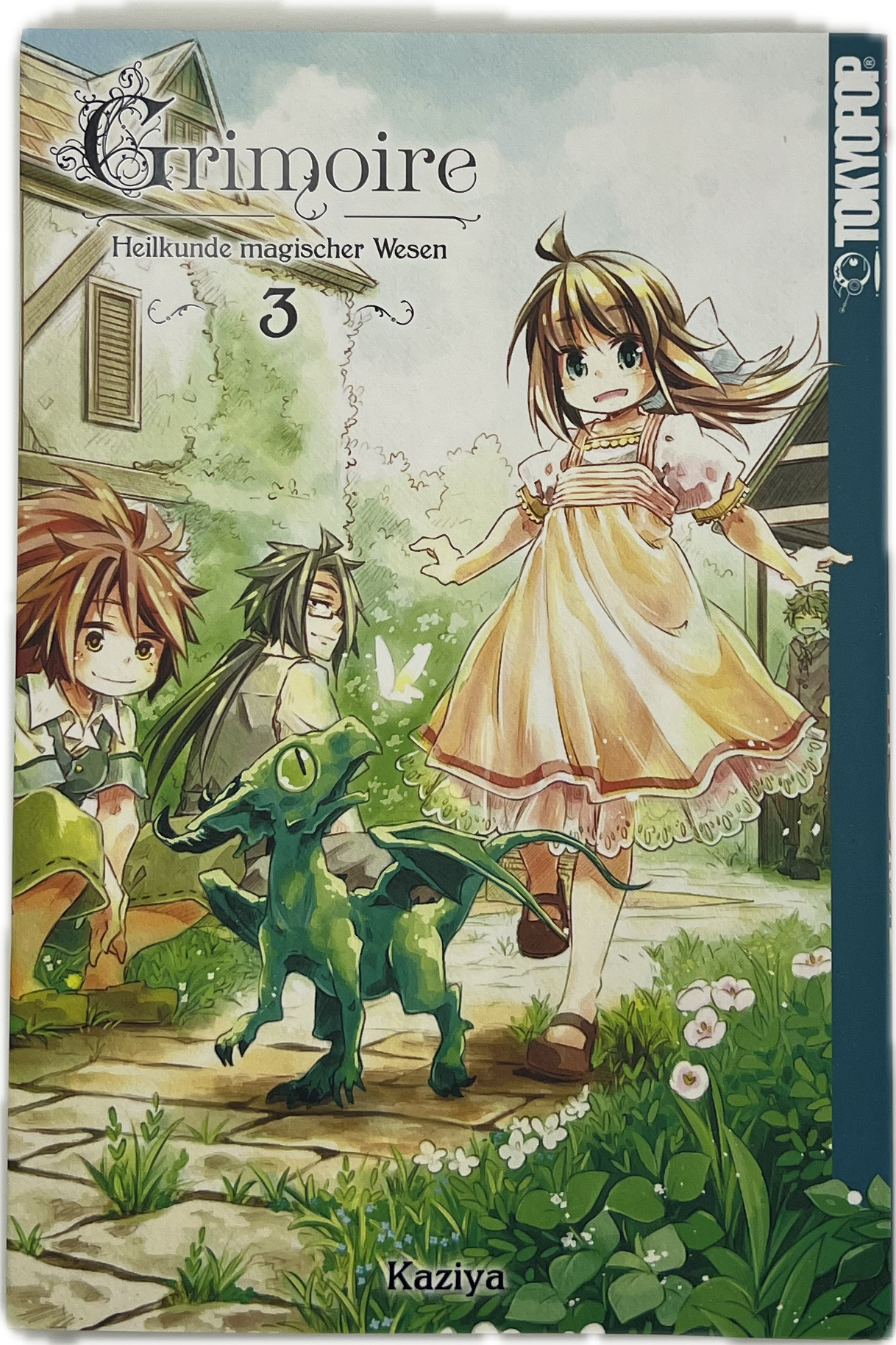 Grimoire - Heilkunde magischer Wesen 03