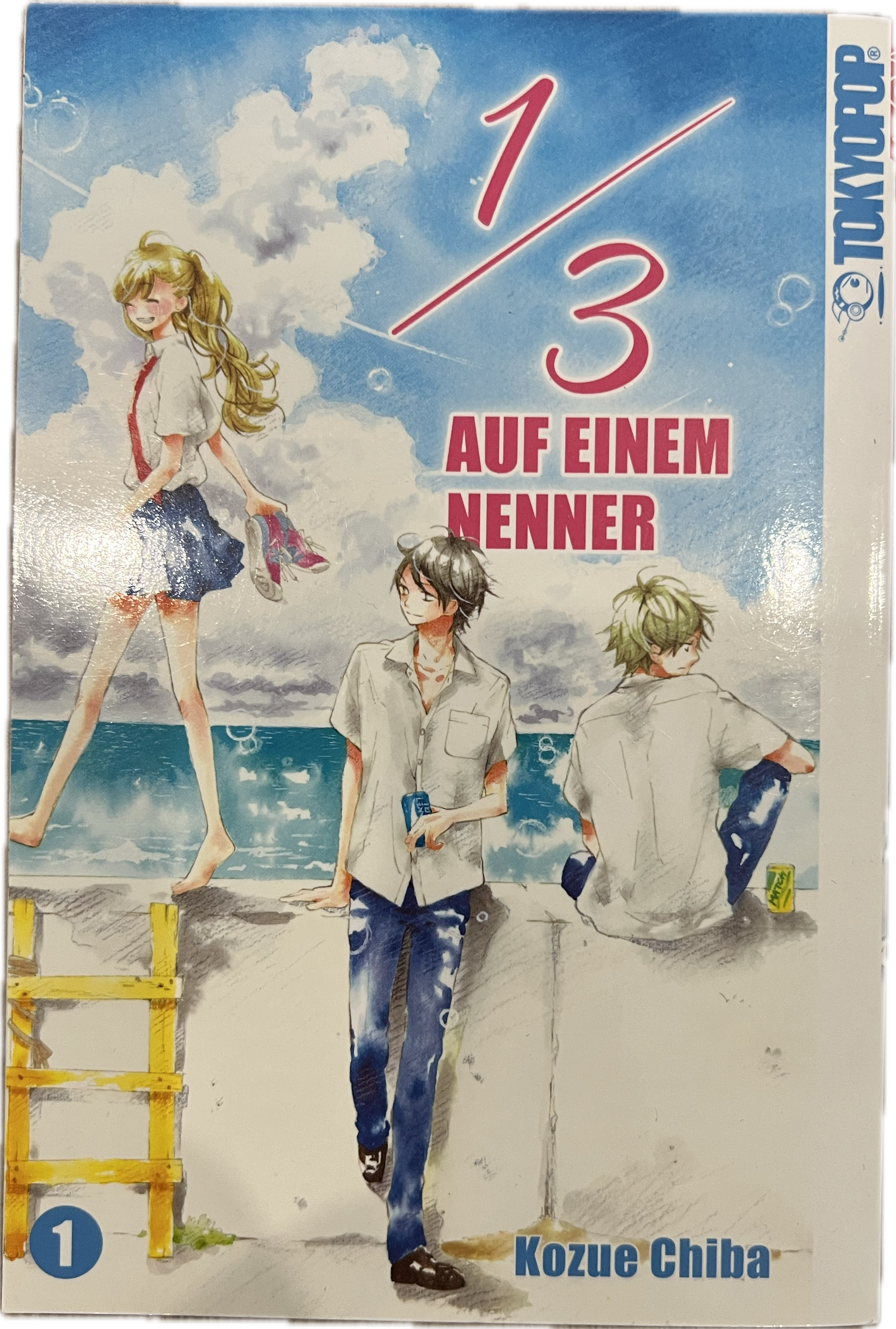1/3 auf einem Nenner 01