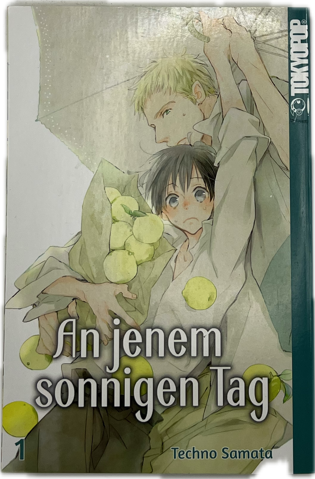 An jenem sonnigen Tag 01