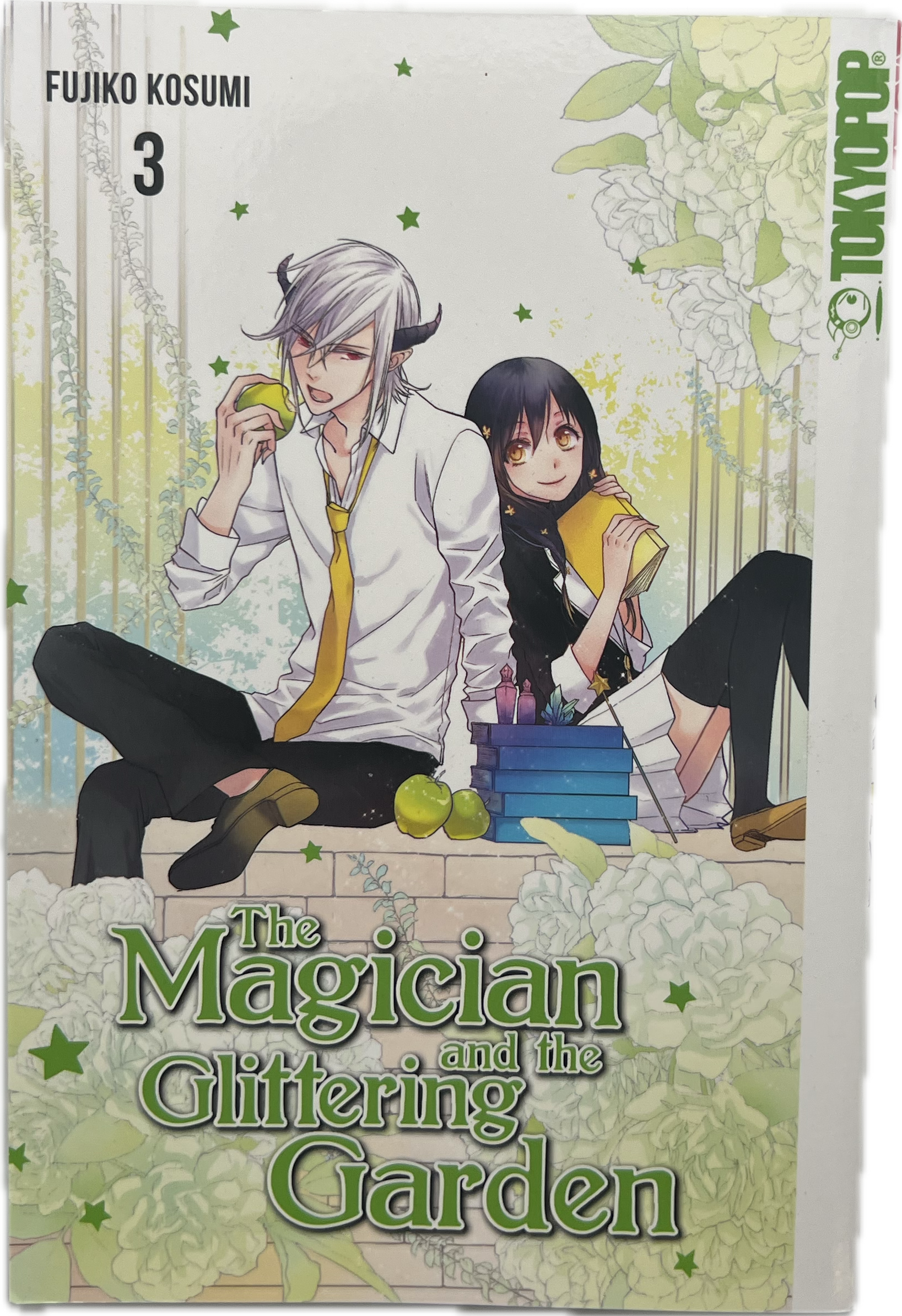 The Magician and the Glittering Garden 03