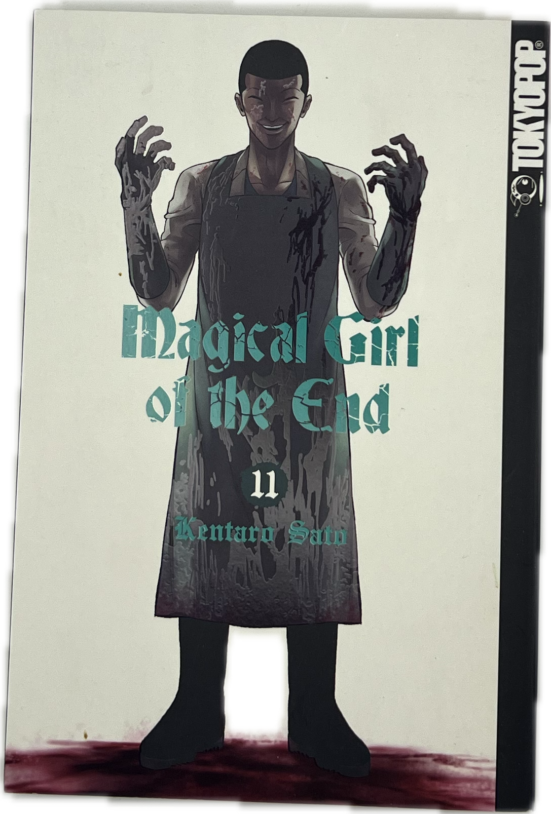 Magical Girl of the End 11