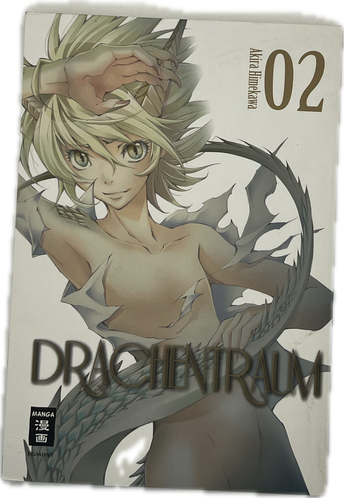 Drachentraum 02