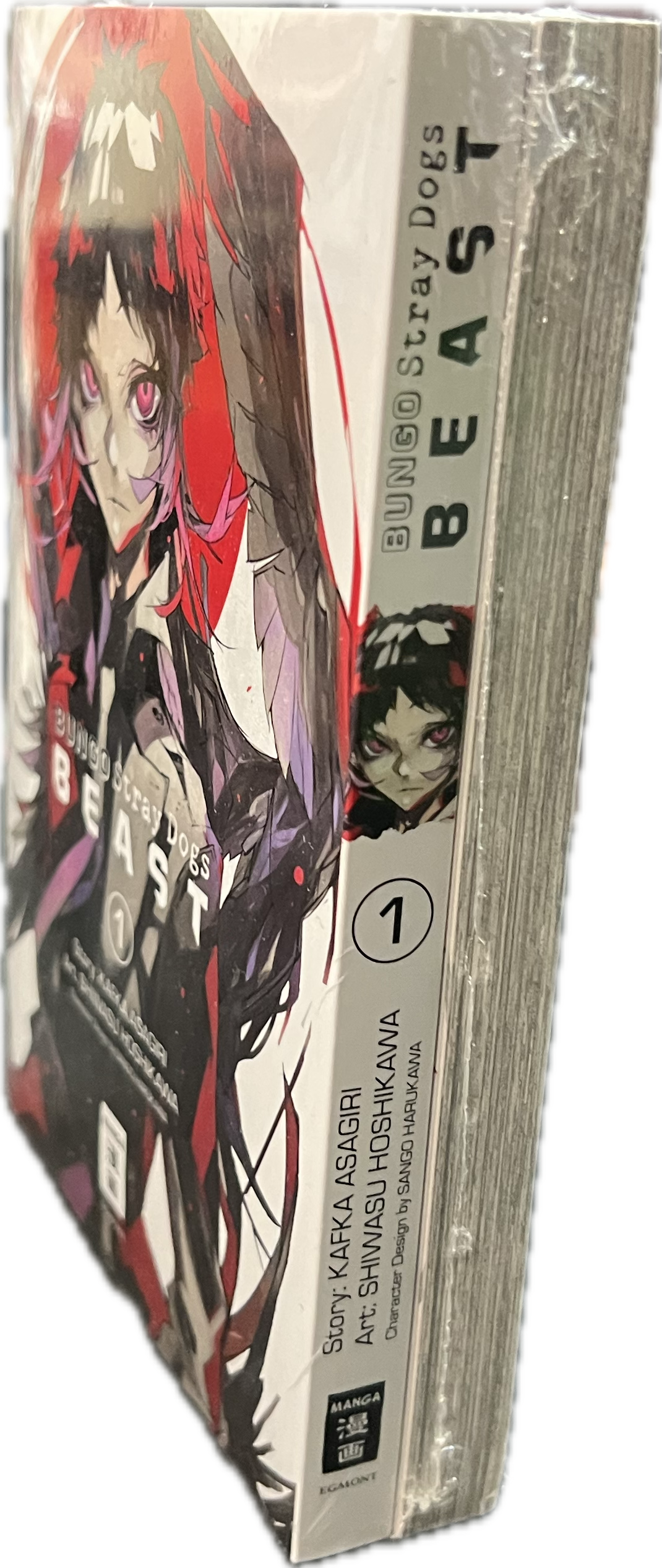 Bungo Stray Dogs 01+02