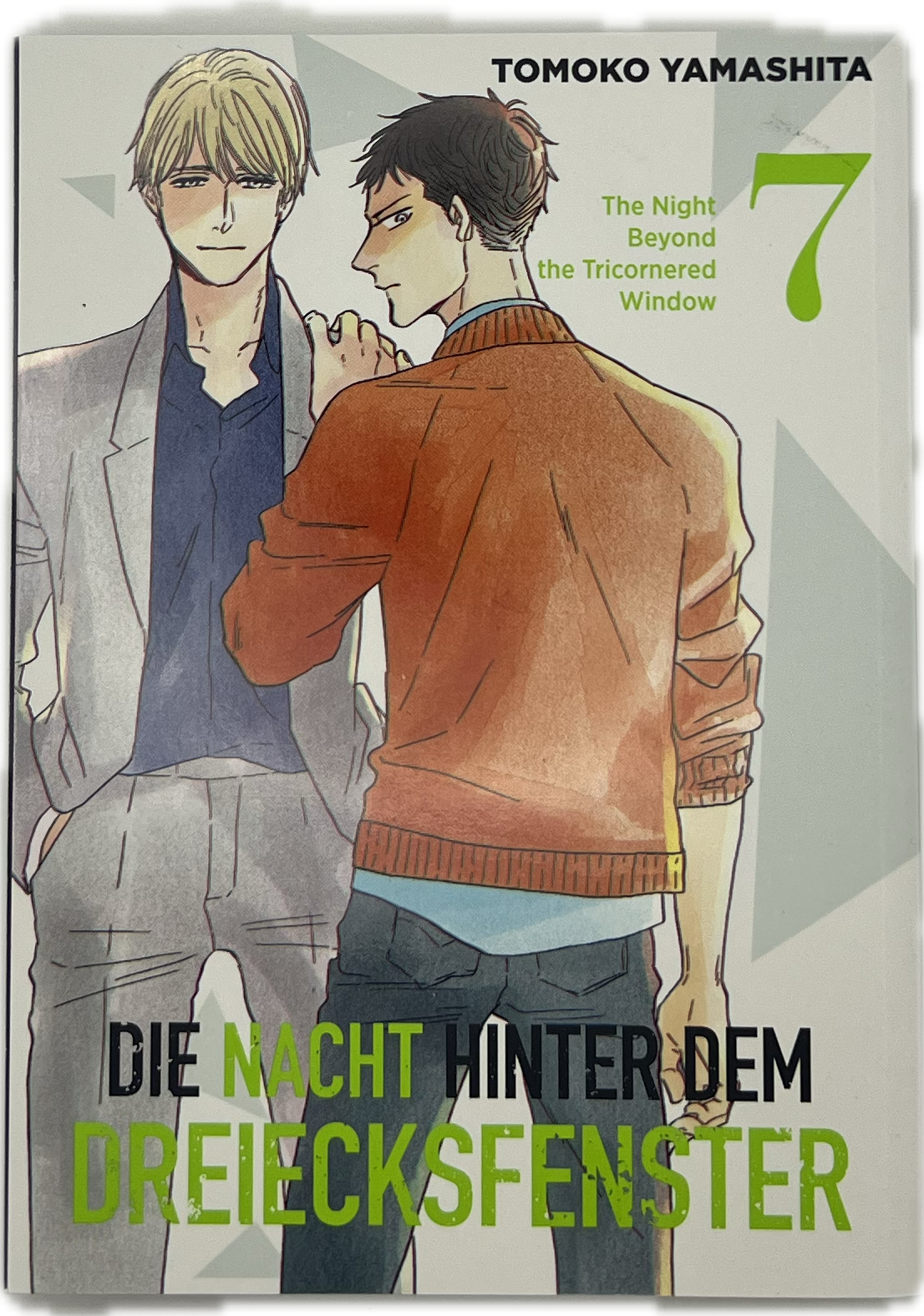 Die Nacht hinter dem Dreiecksfenster 07