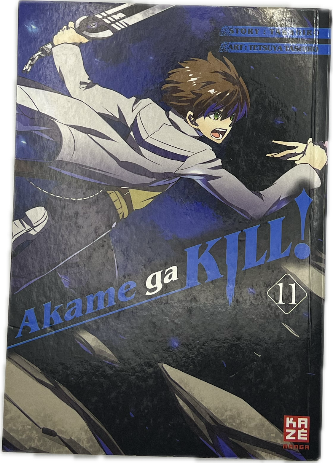 Akame Ga Kill 11