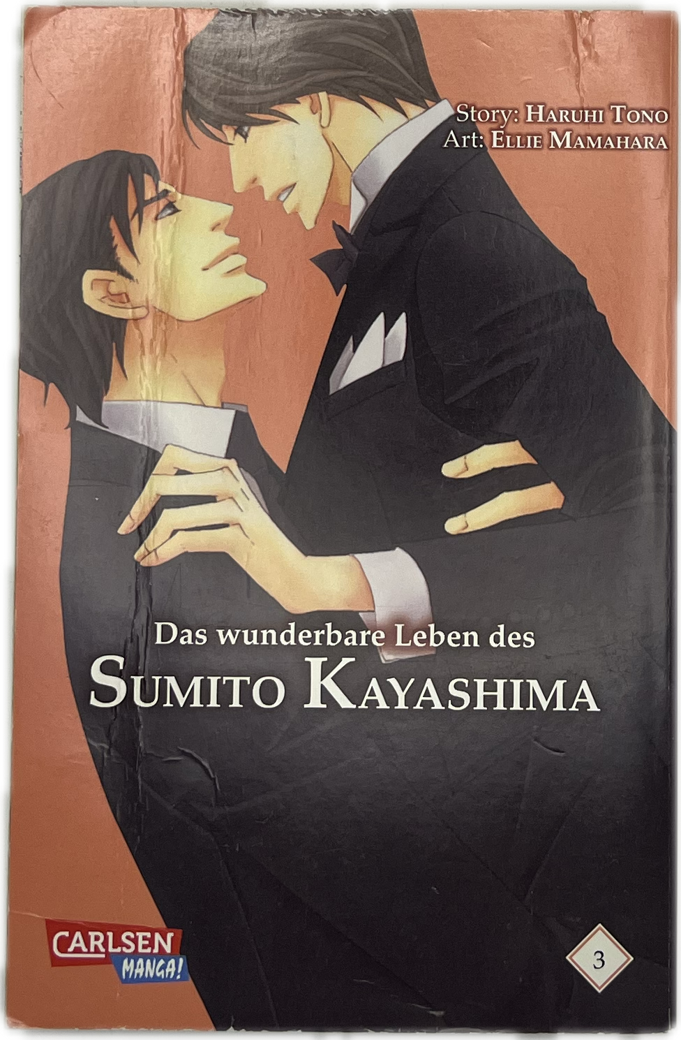 Das wunderbare Leben des Sumito Kayashima 03