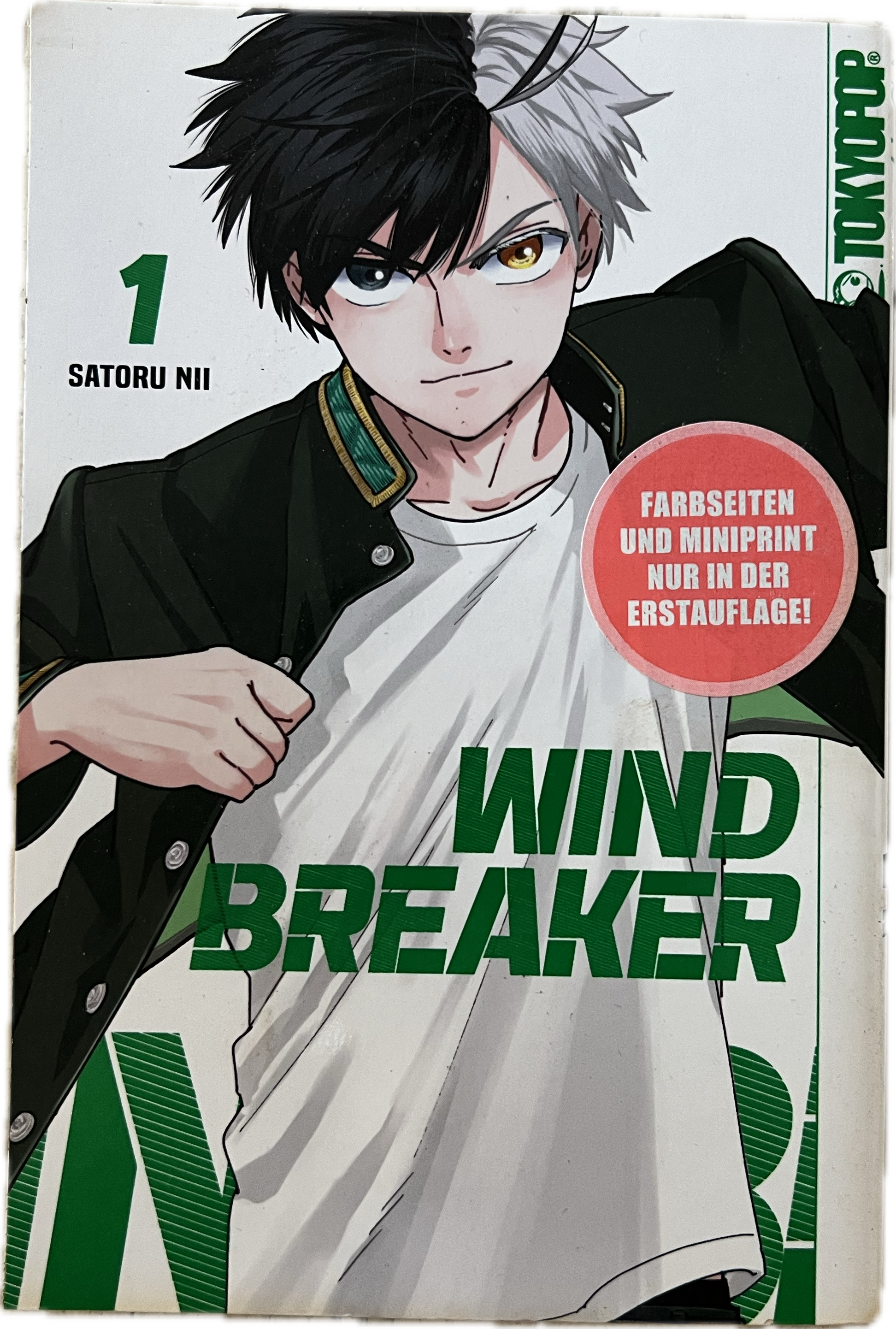 Wind Breaker 01
