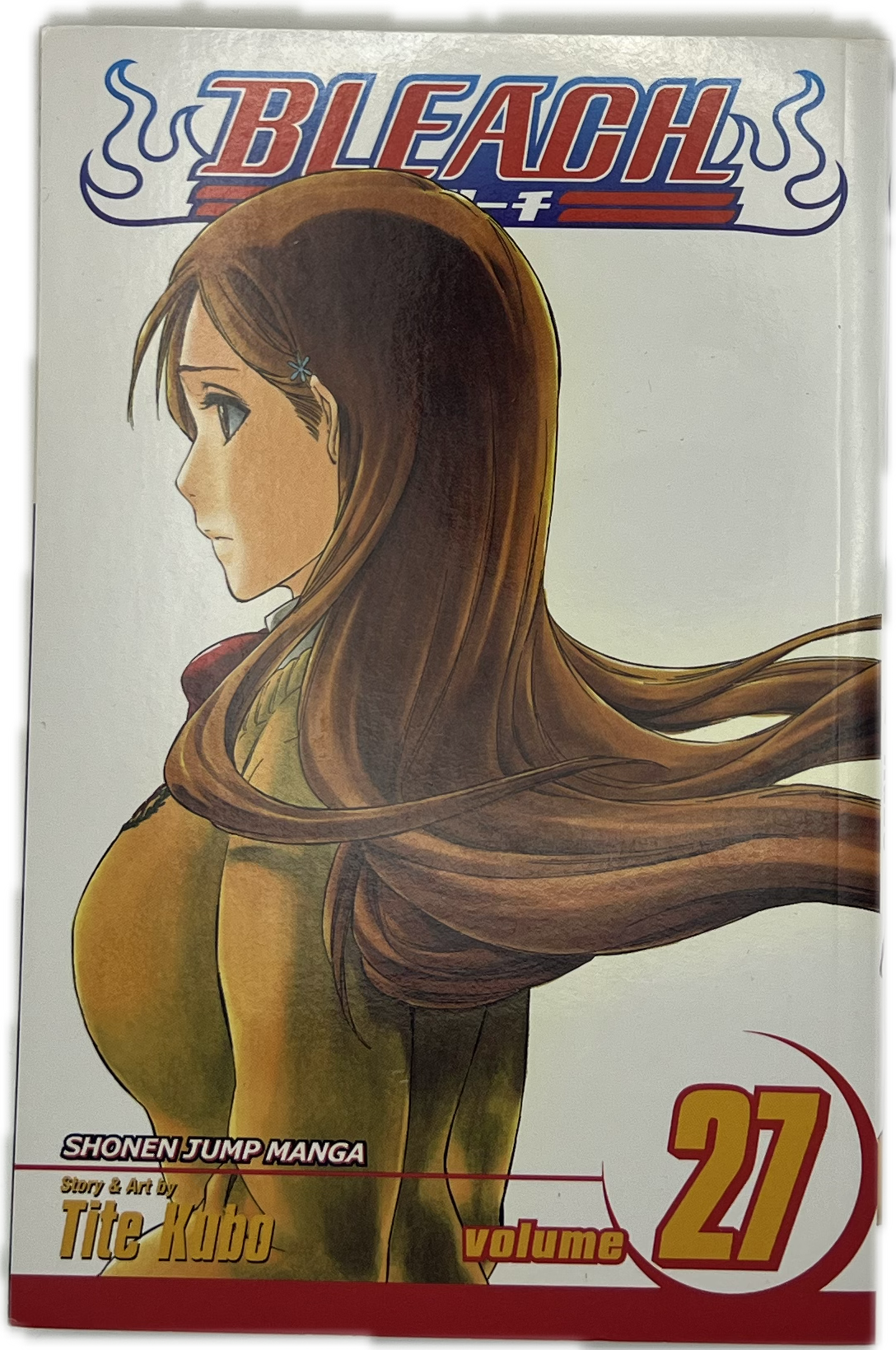 Bleach 27 Englisch | Manayga
