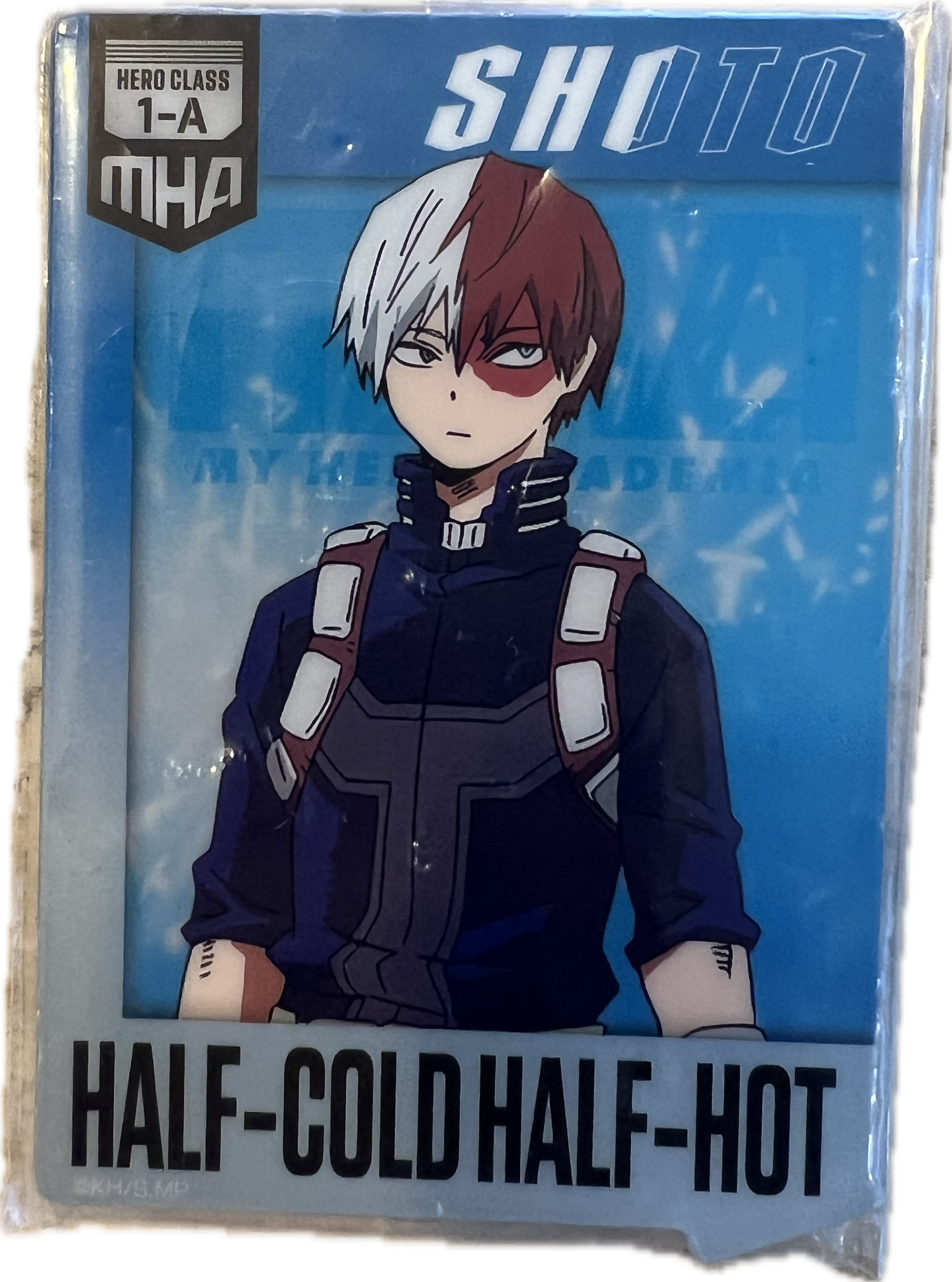 Shoto Todoroki Acrylständer