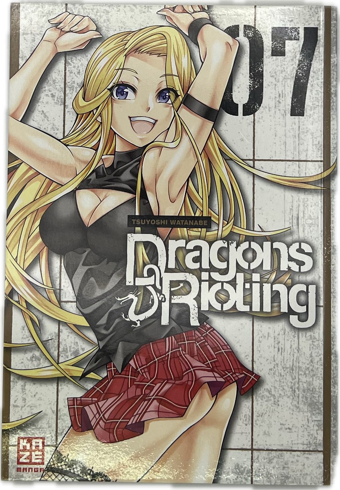 Dragons Rioting 07