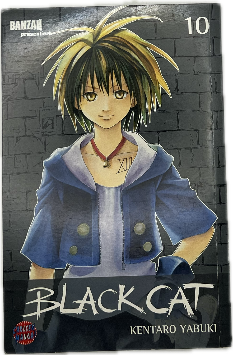 Black Cat 10