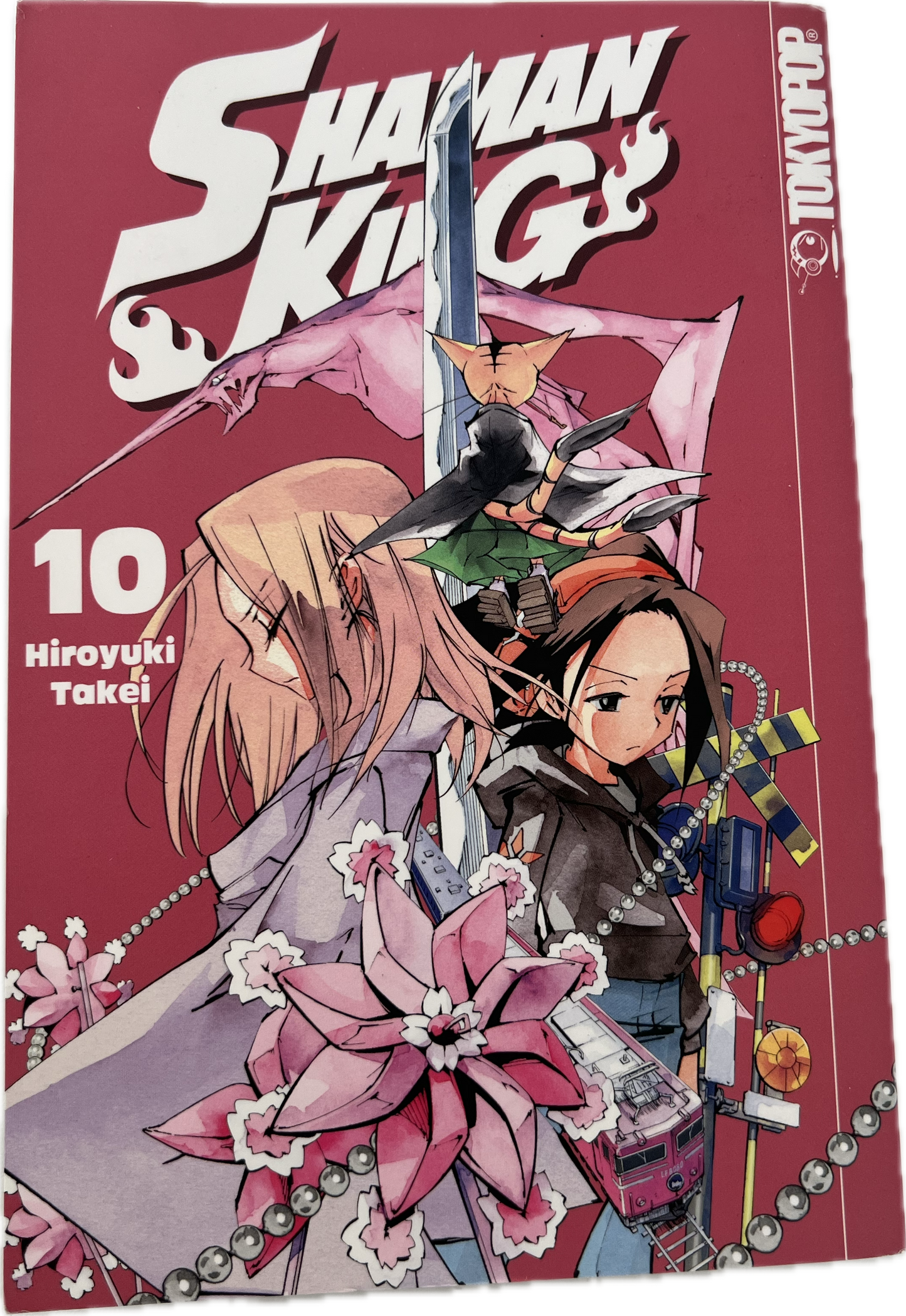 Shaman King 10 New Edition