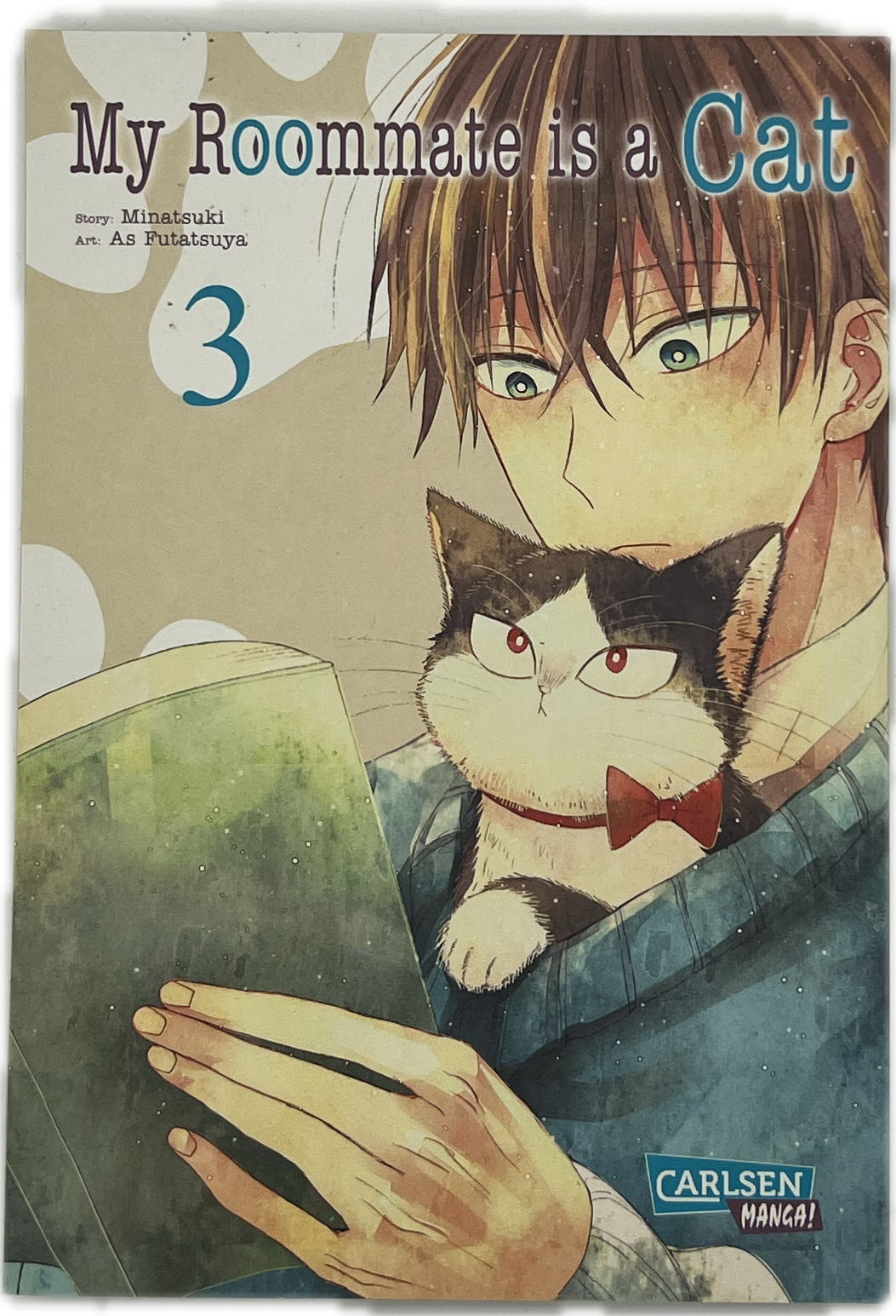 My Roommate is a cat 03