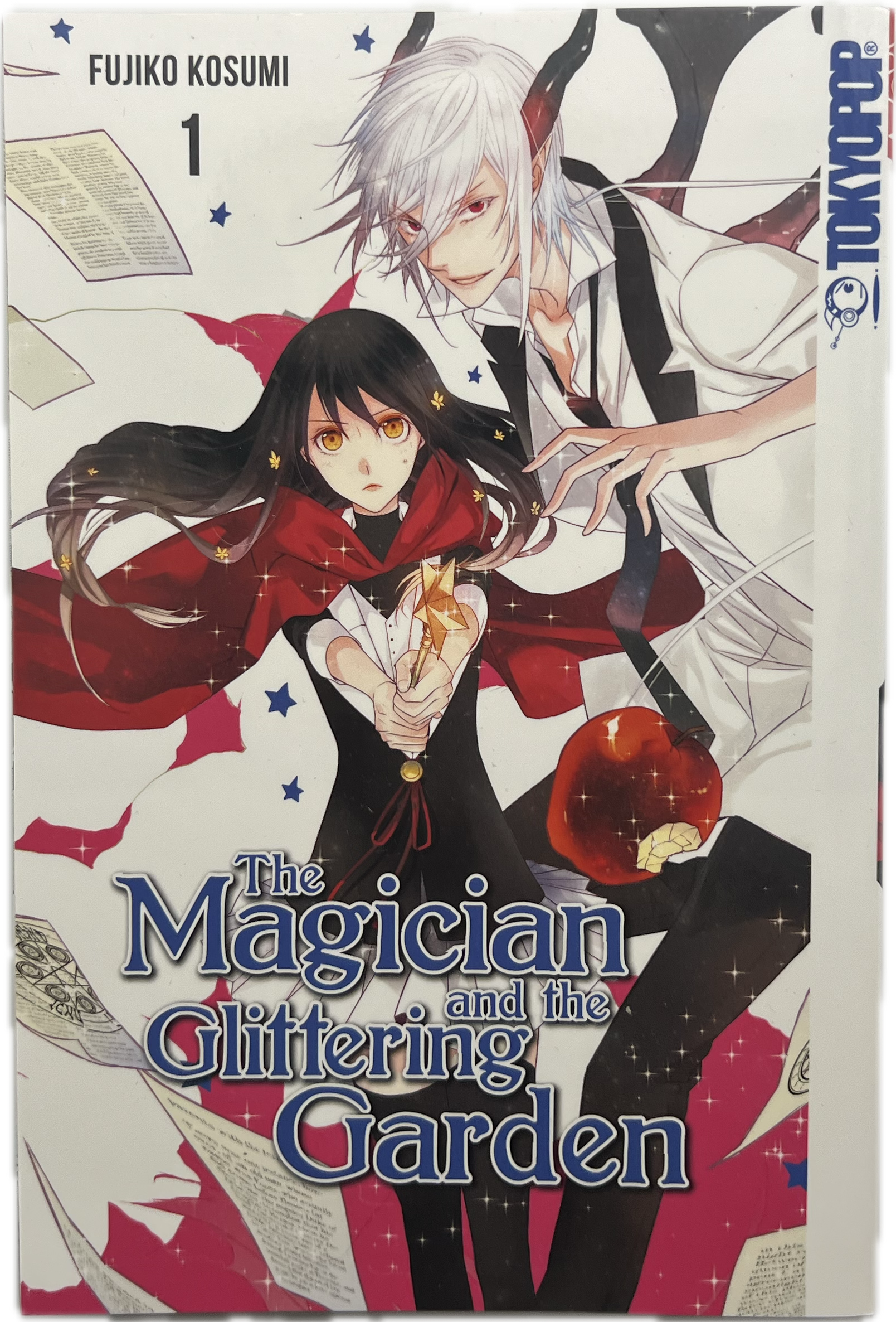 The Magician and the Glittering Garden 01