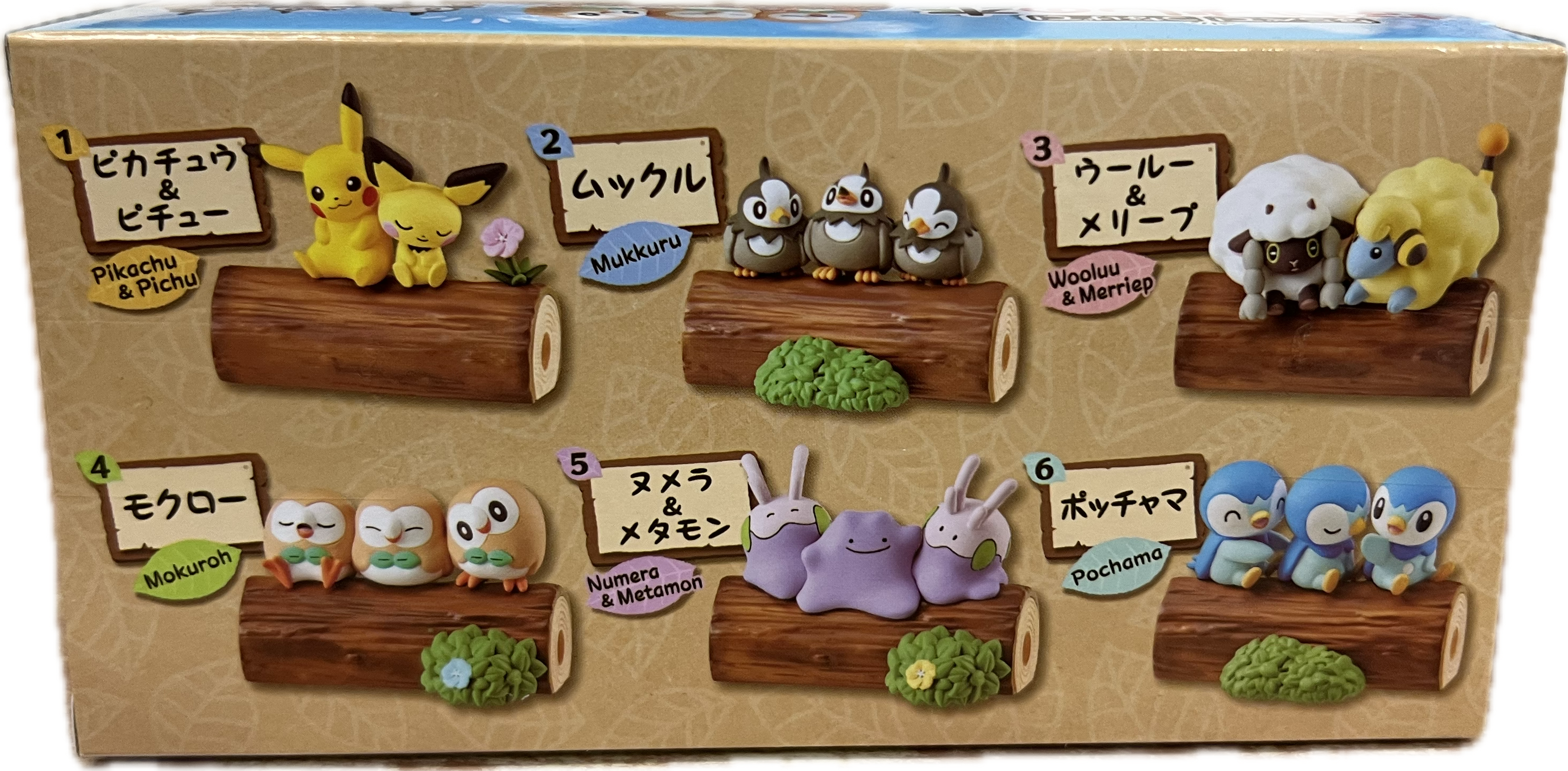 Pokemon Nakayoshi Friends Blind Box