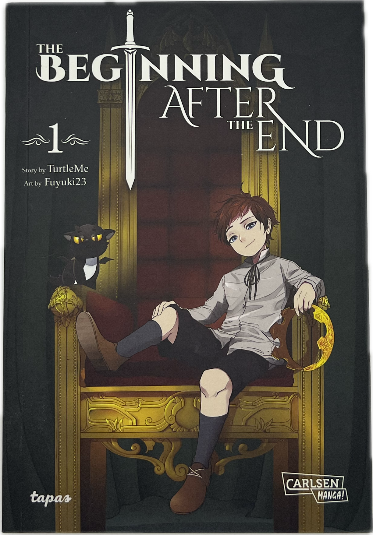 The Beginning After the End 01