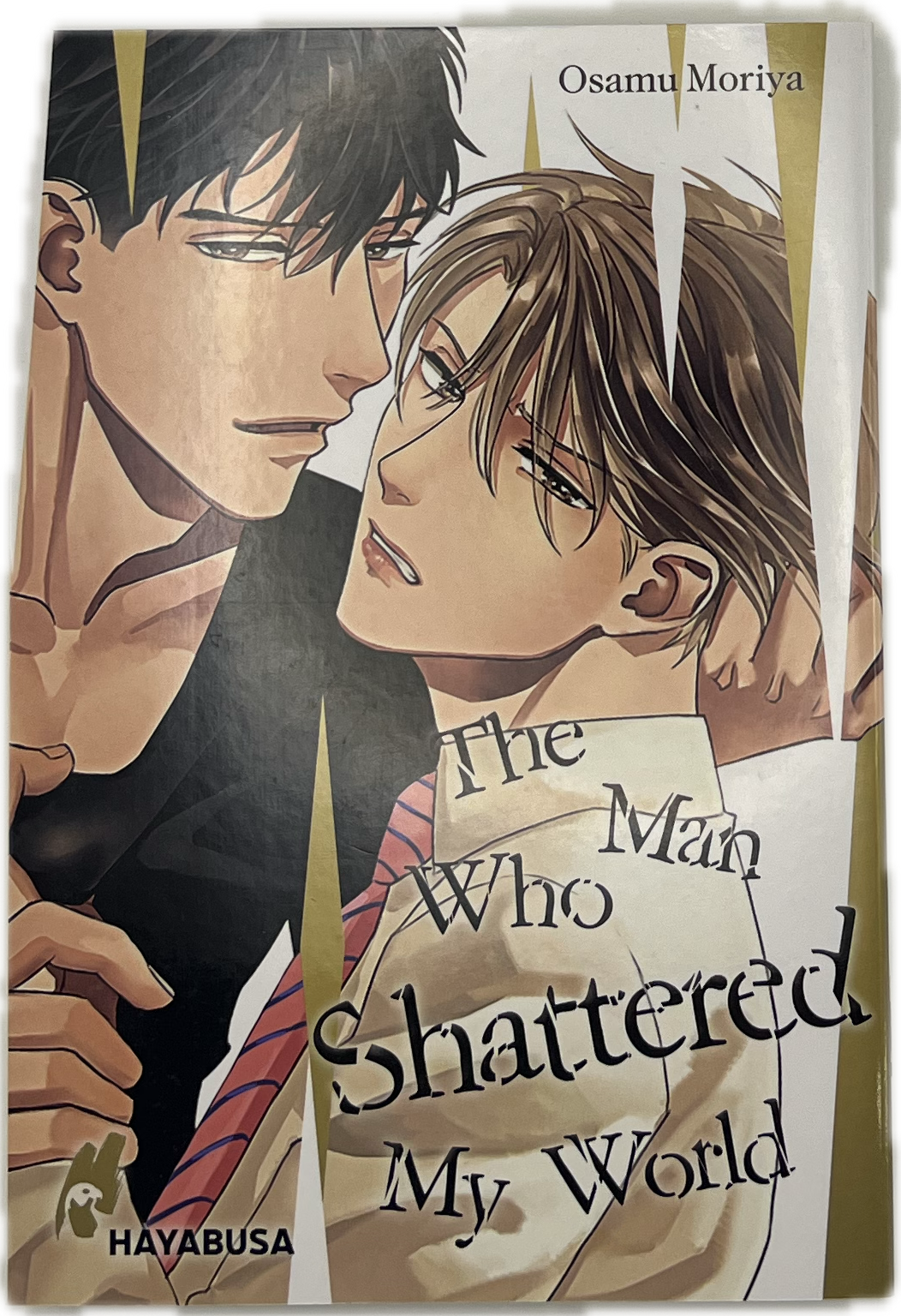 The Man Who Shattered My World