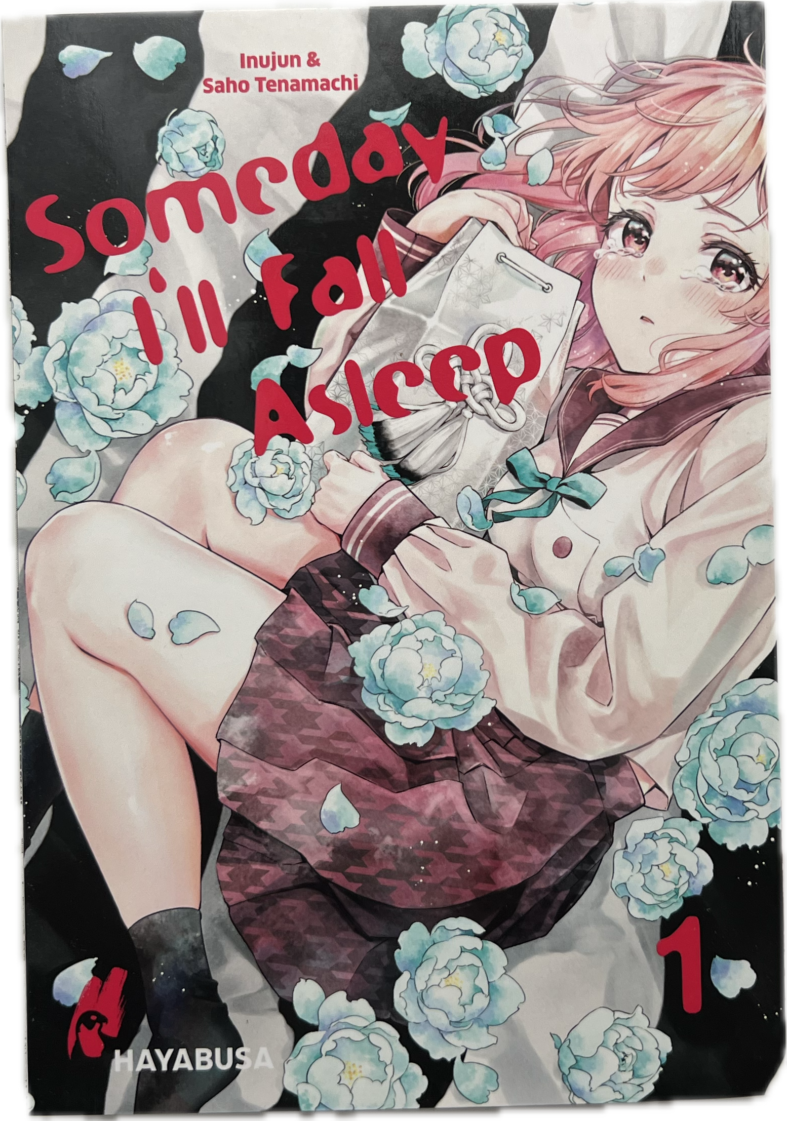 Someday I'll Fall Asleep 01