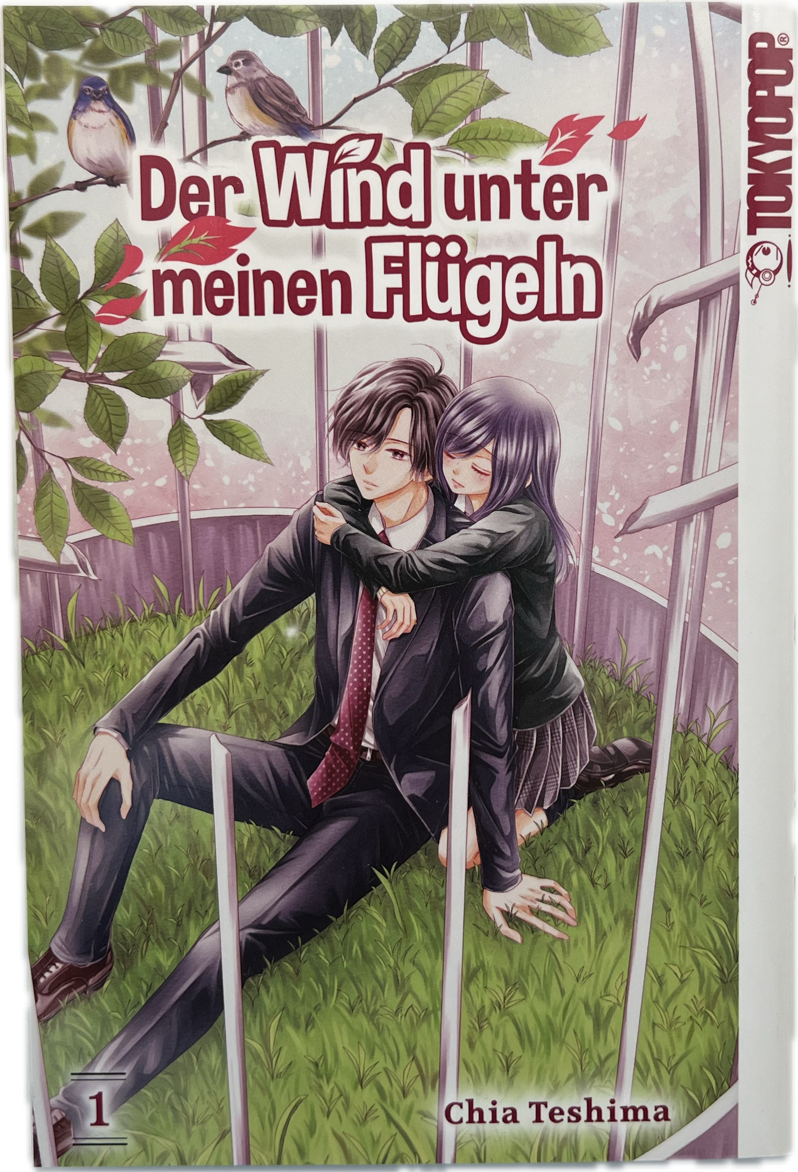 Der Wind unter meinen Flügeln 01
