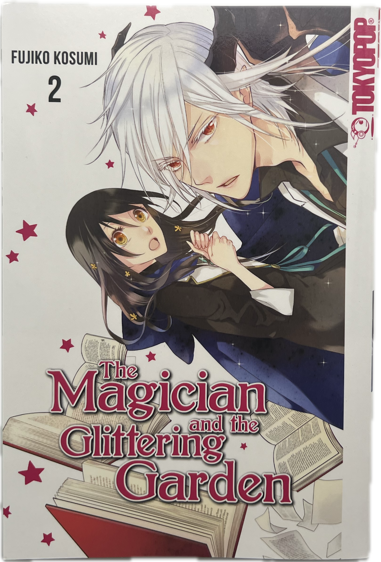 The Magician and the Glittering Garden 02