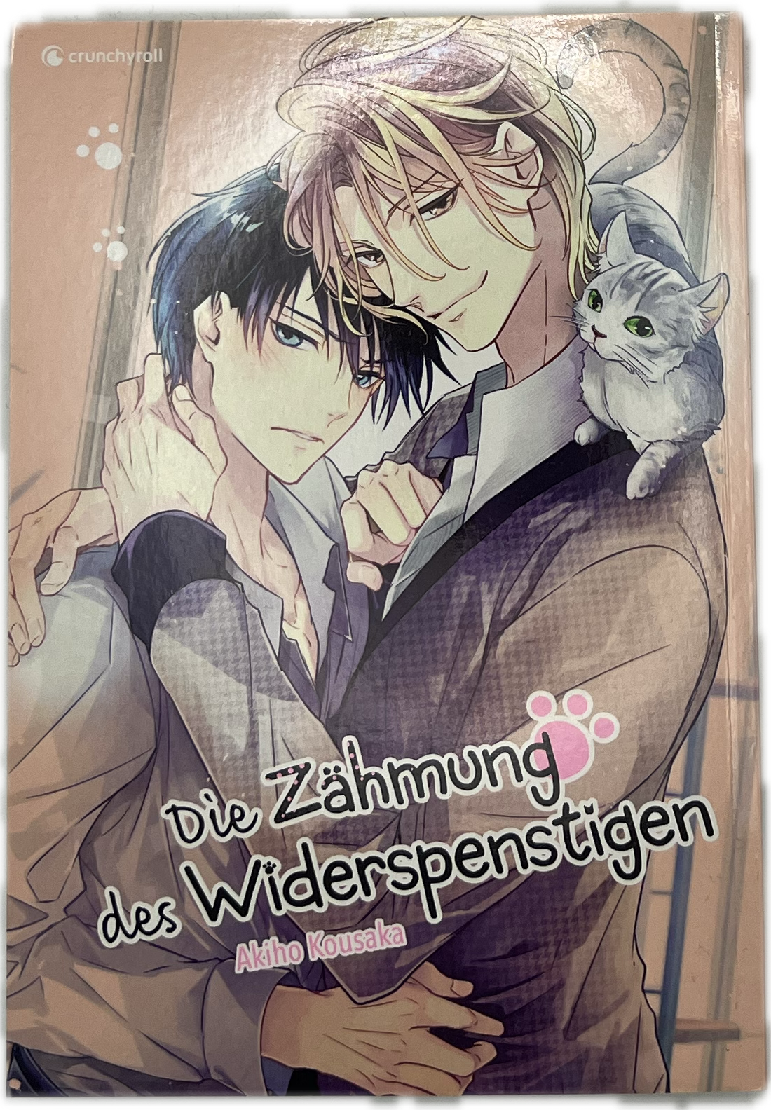 Die Zähmung des Widerspenstigen