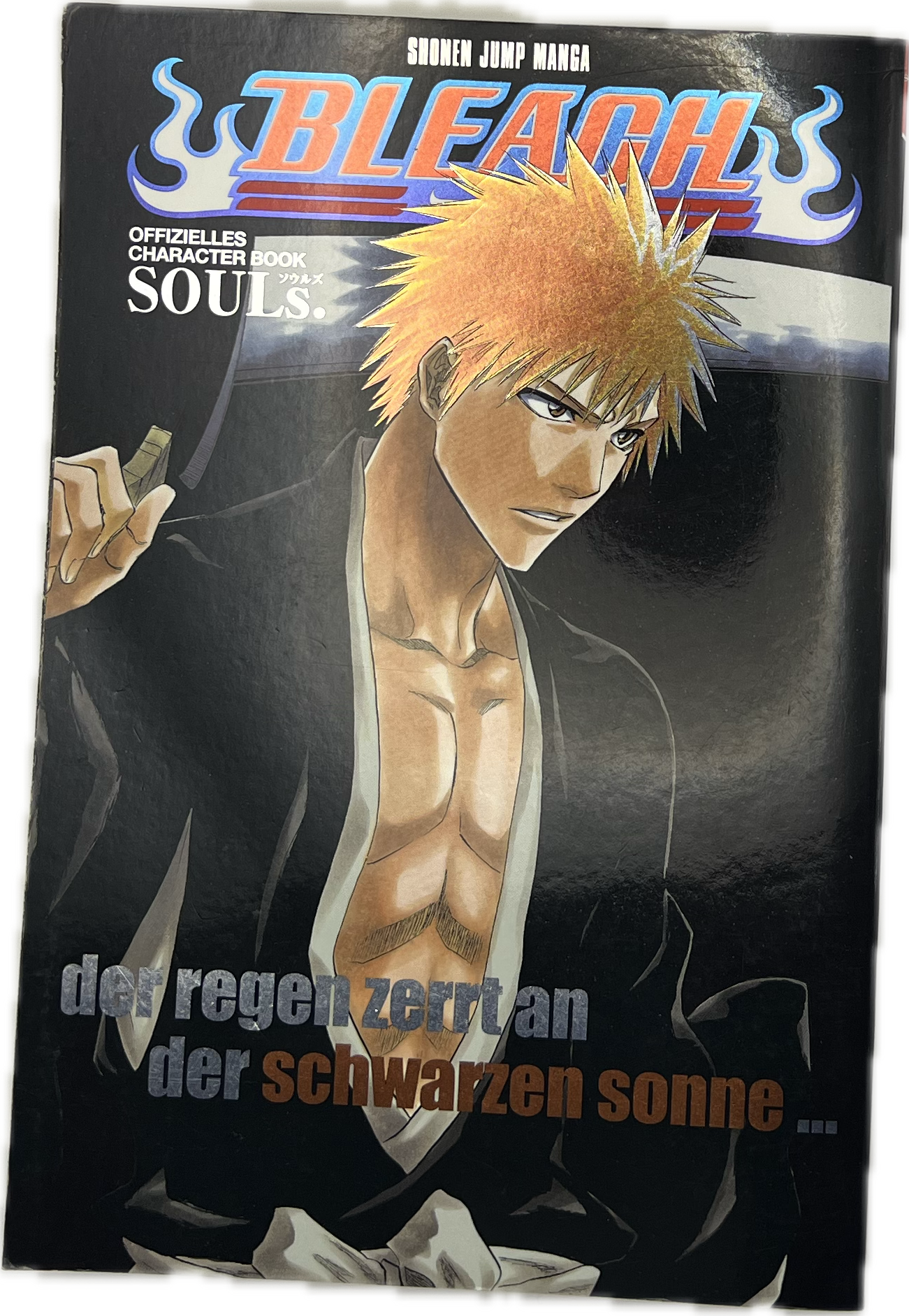 Bleach Character Book - Souls der Regen zerrt an der schwarzen Sonne