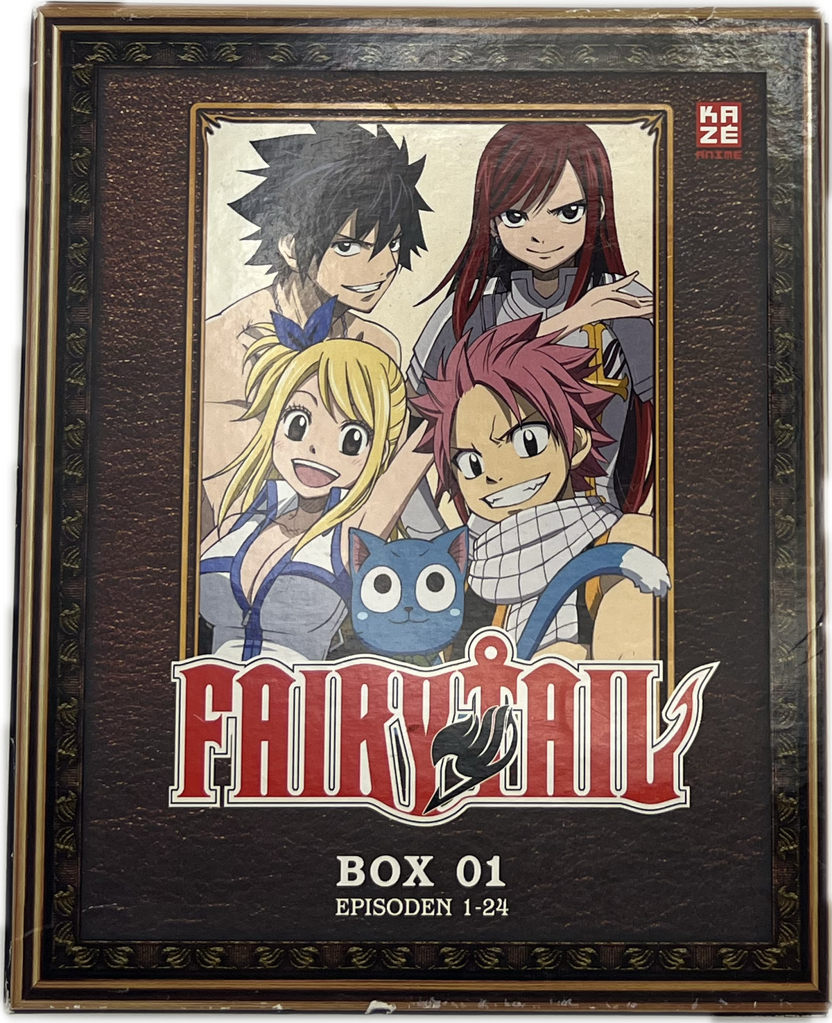 Fairy Tail Box 01 DVD