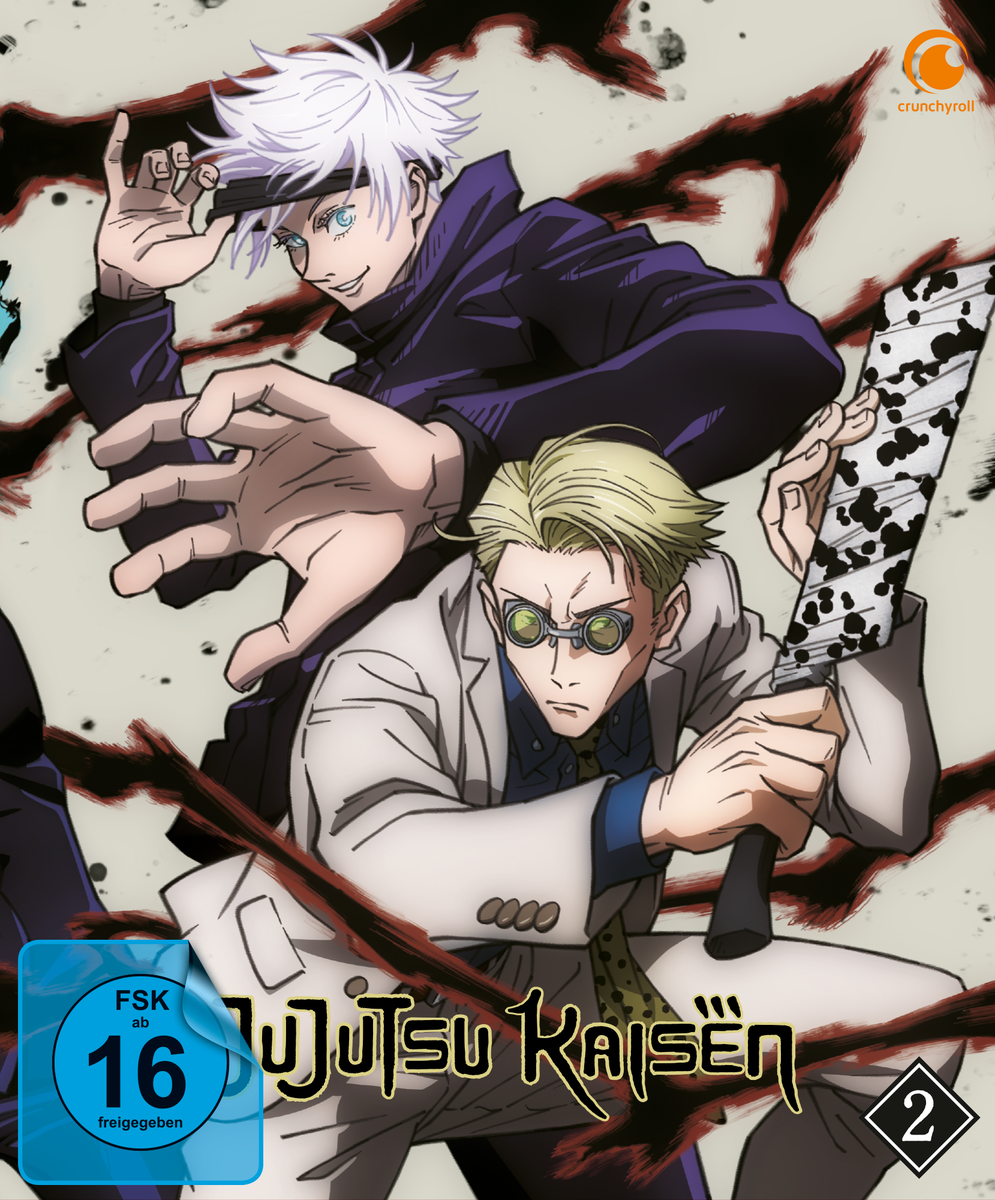 Jujutsu Kaisen – Staffel 1 Vol. 2 DVD