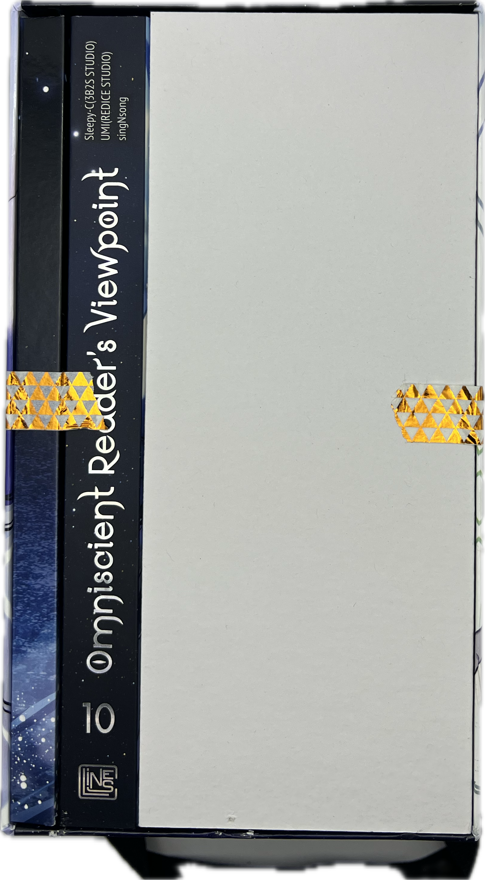 Omniscient Read's Viewpoint Schuber 10