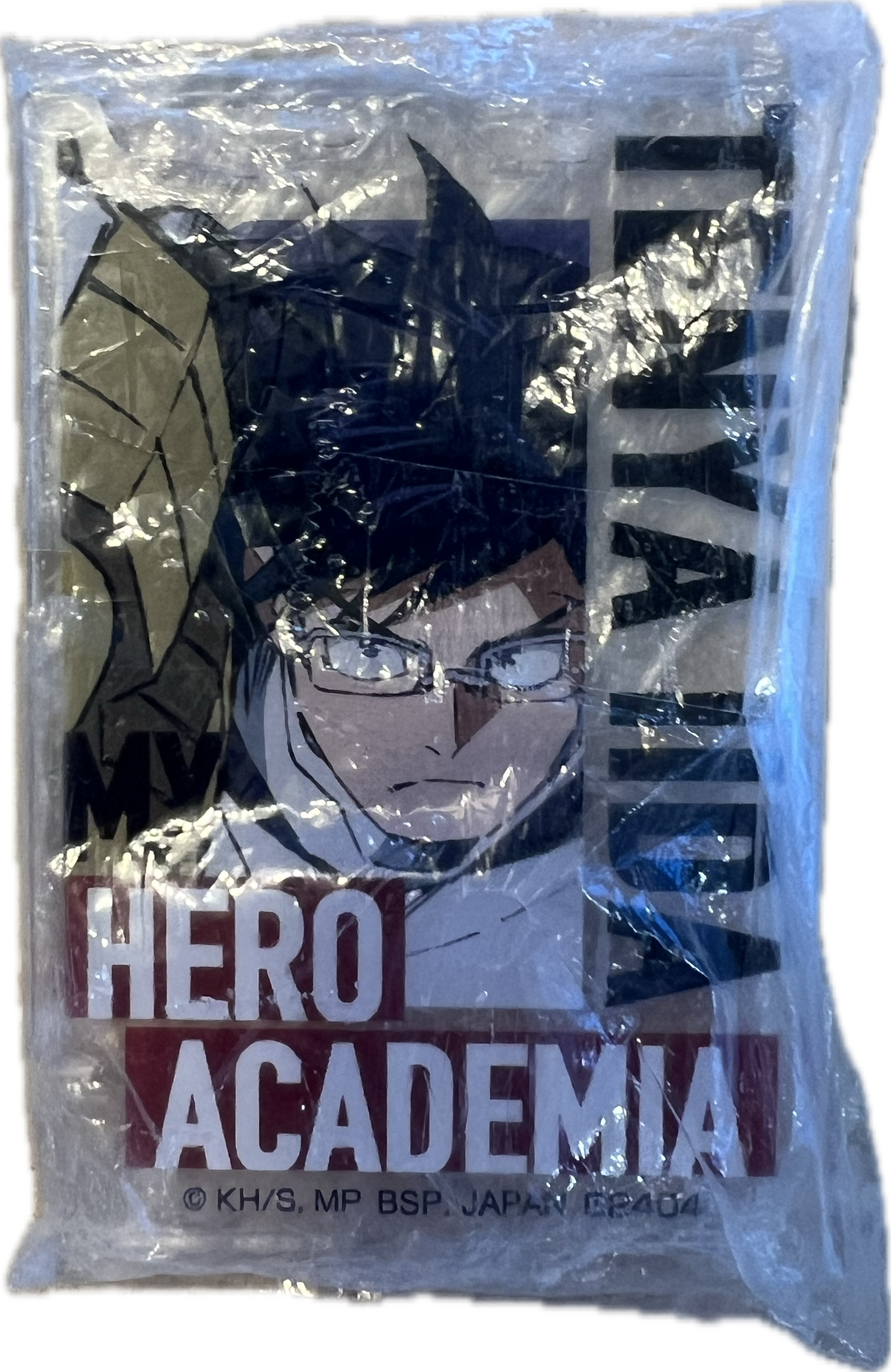 Tenya Iida Acrylständer