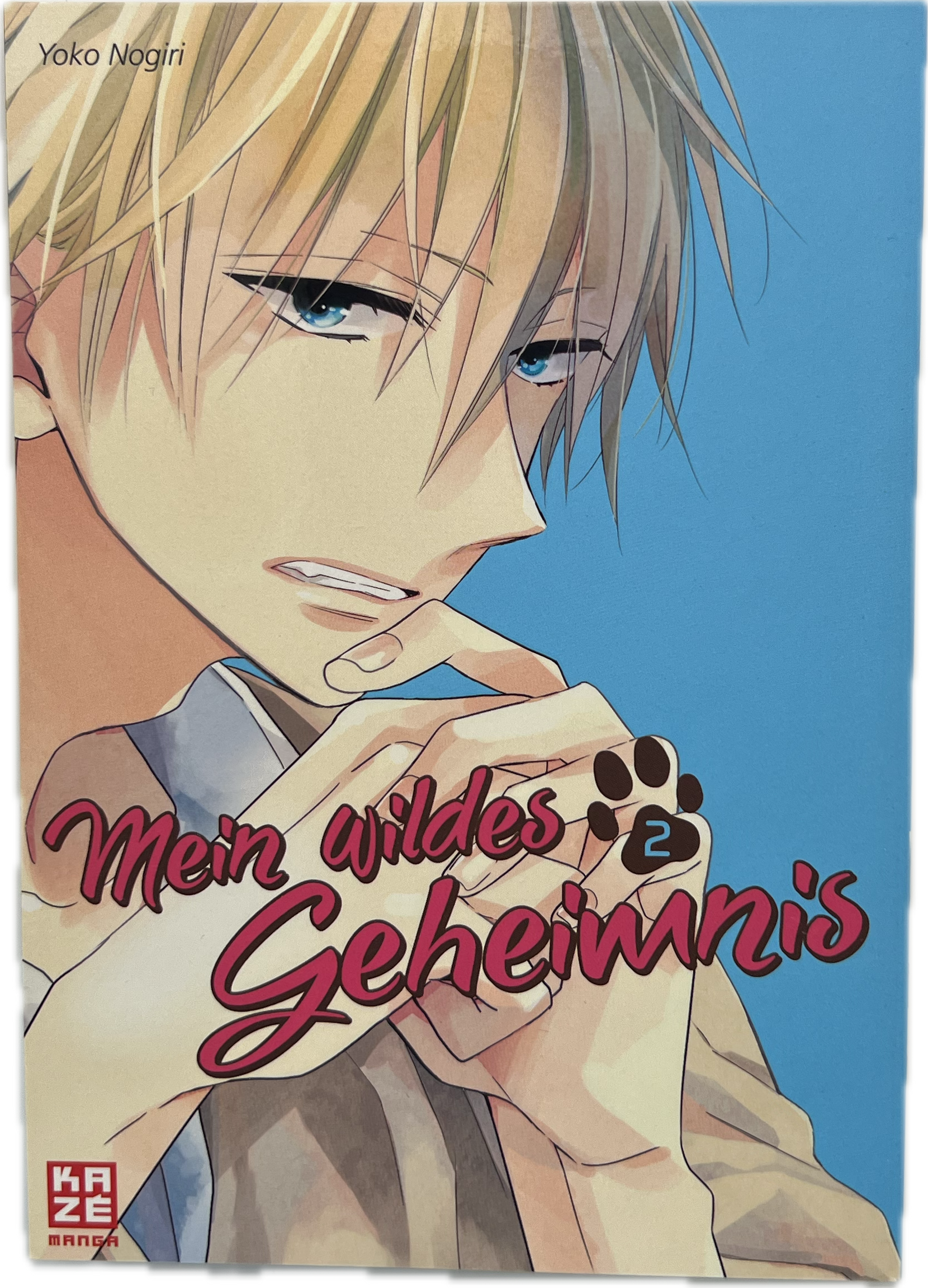 Mein wildes Geheimnis 02