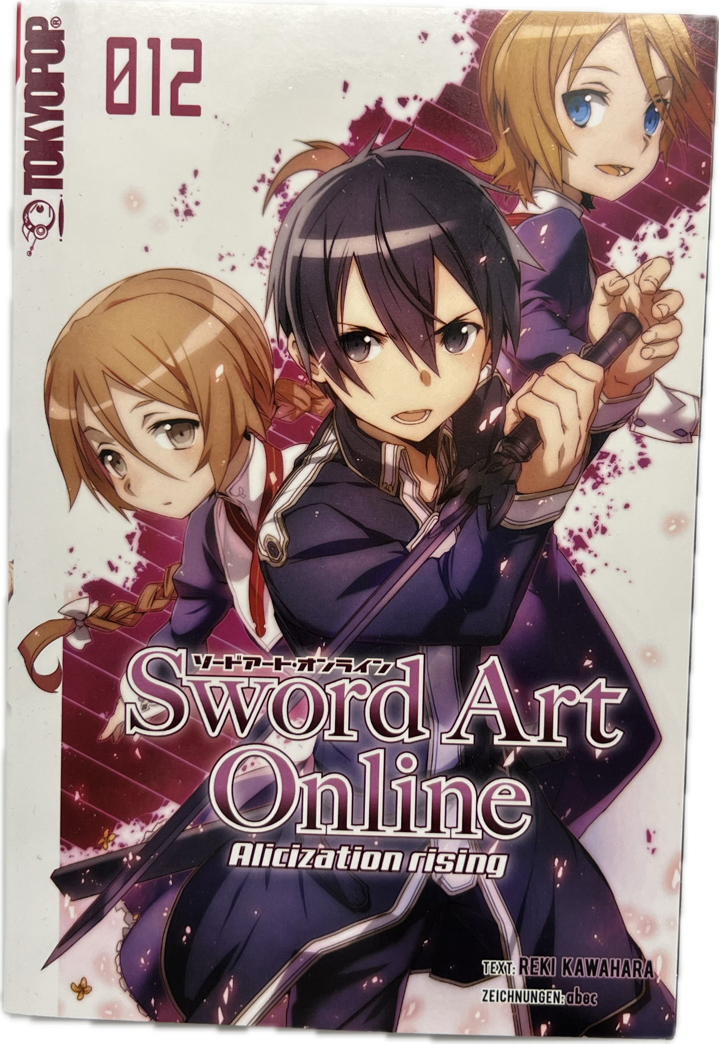 Sword Art Online Alicization Rising Roman 12