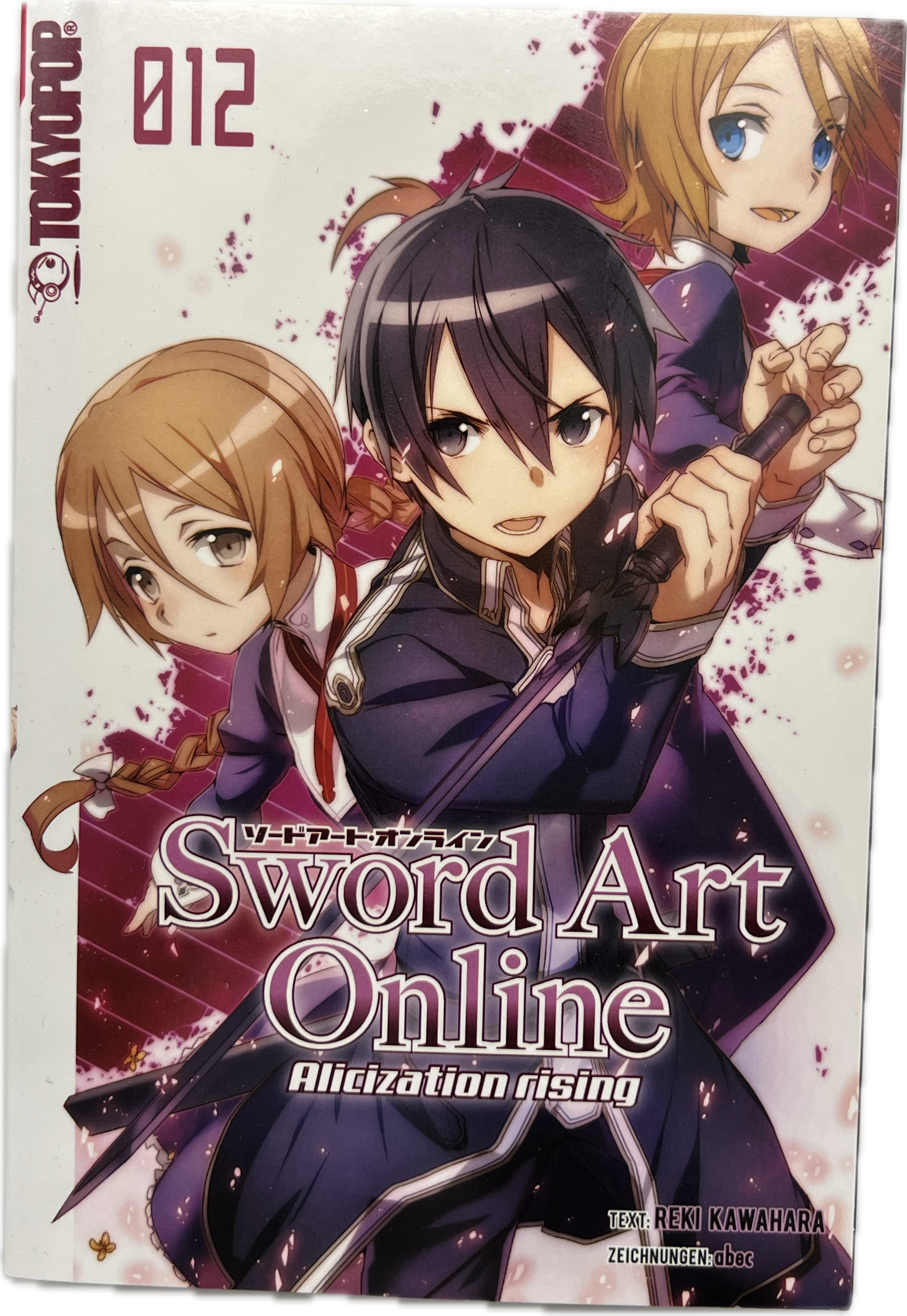 Sword Art Online Alicization rising Novel 12