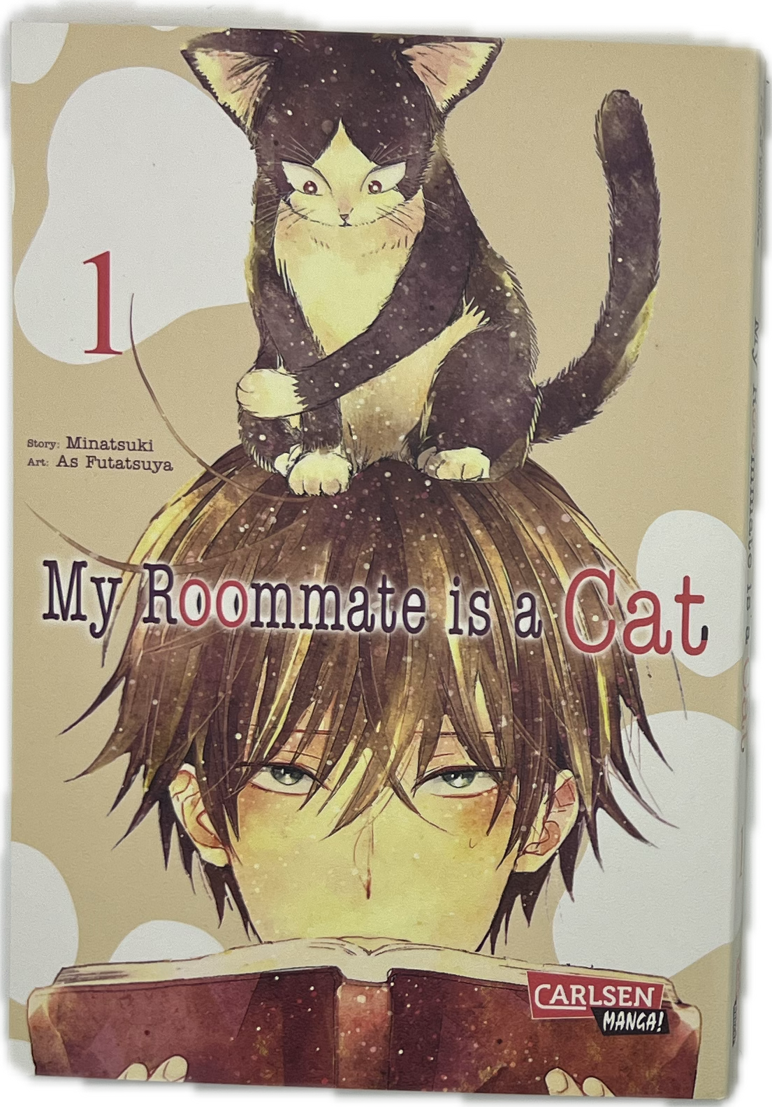 My Roommate is a cat 01