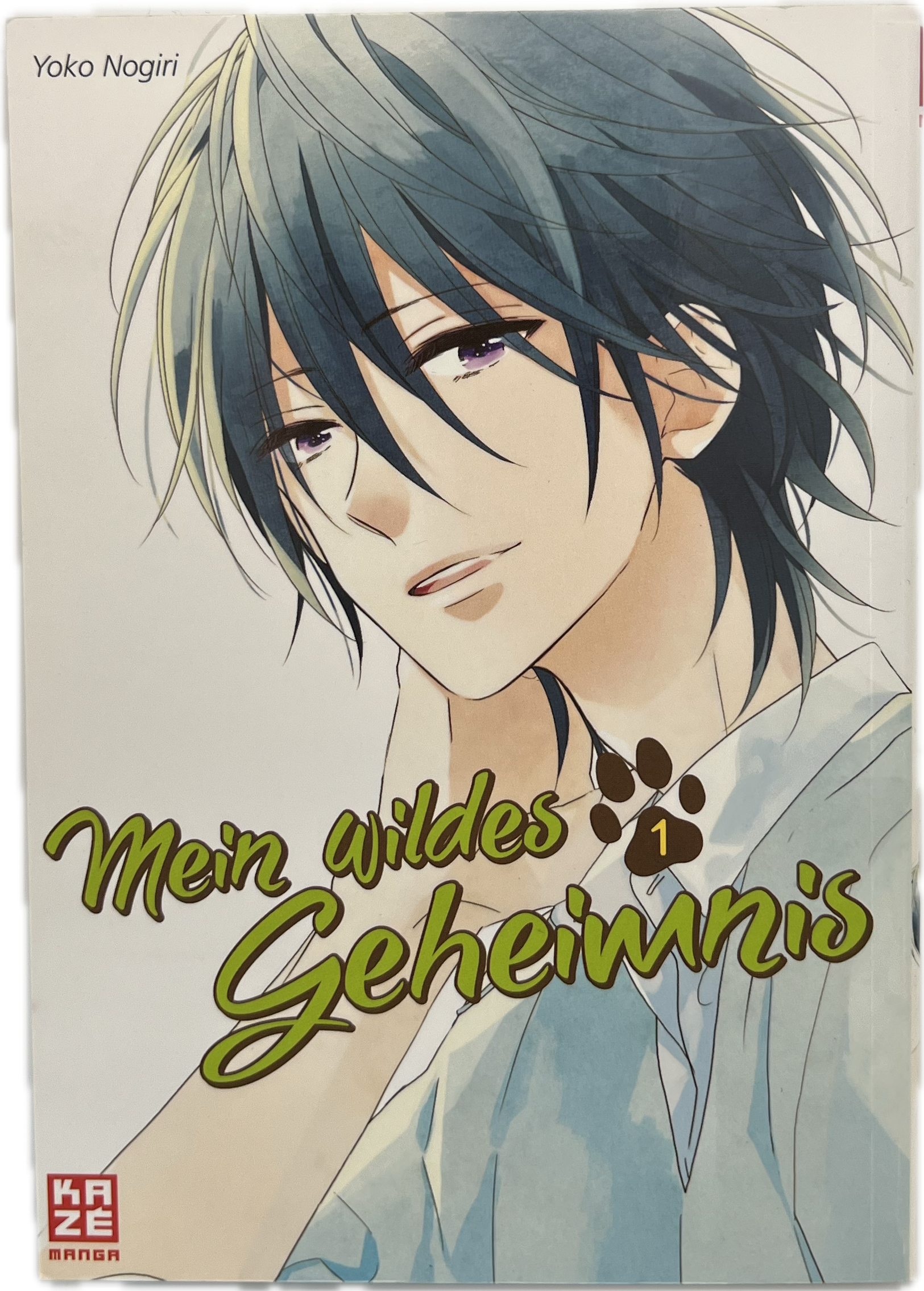 Mein wildes Geheimnis 01