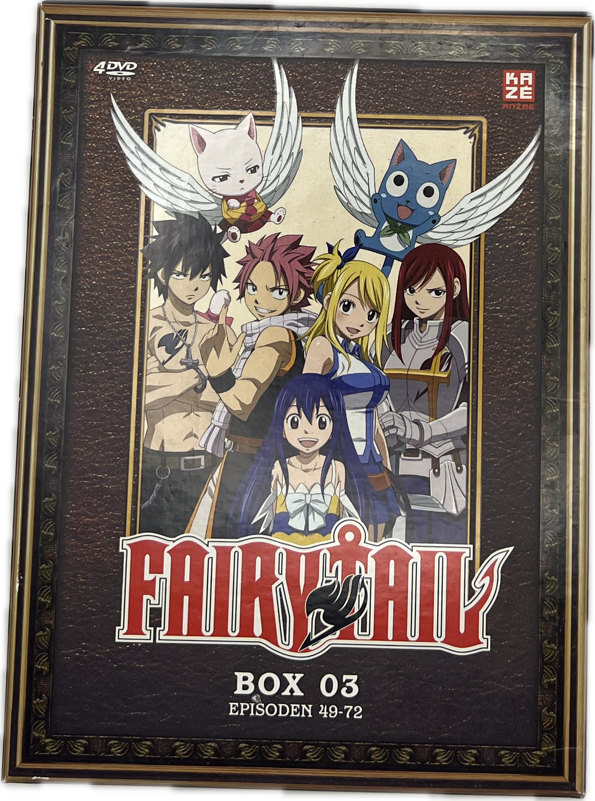 Fairy Tail Box 03 DVD