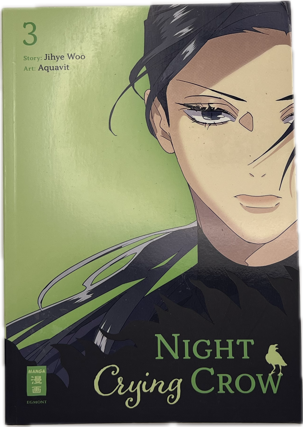 Night Crying Crow 03 | Manayga