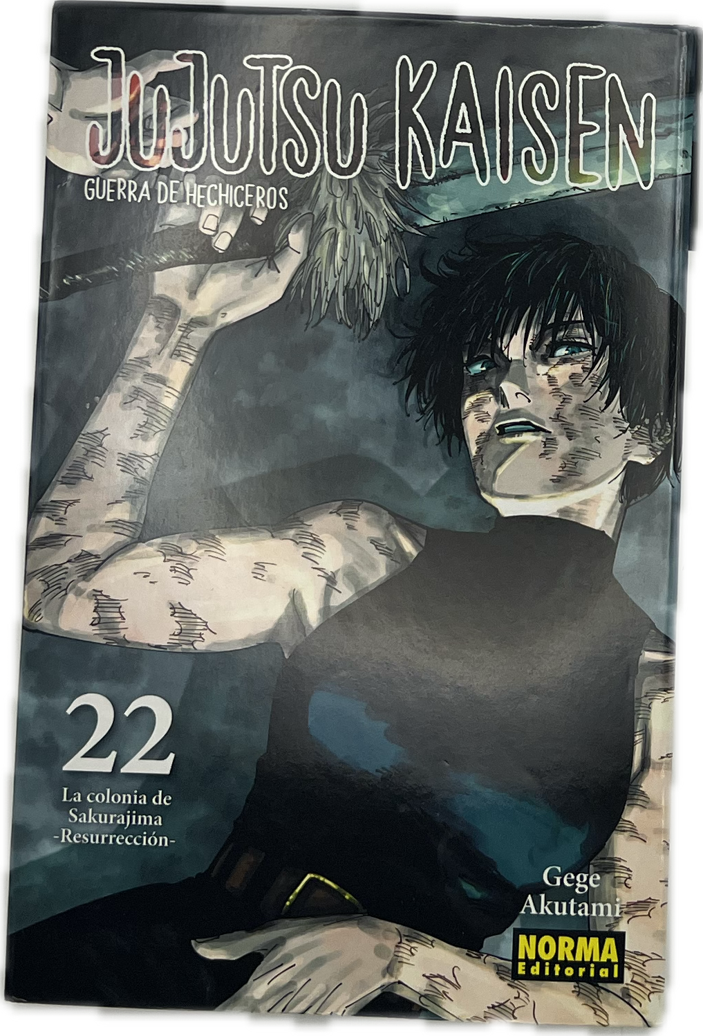 Jujutsu Kaisen 22 Spanish