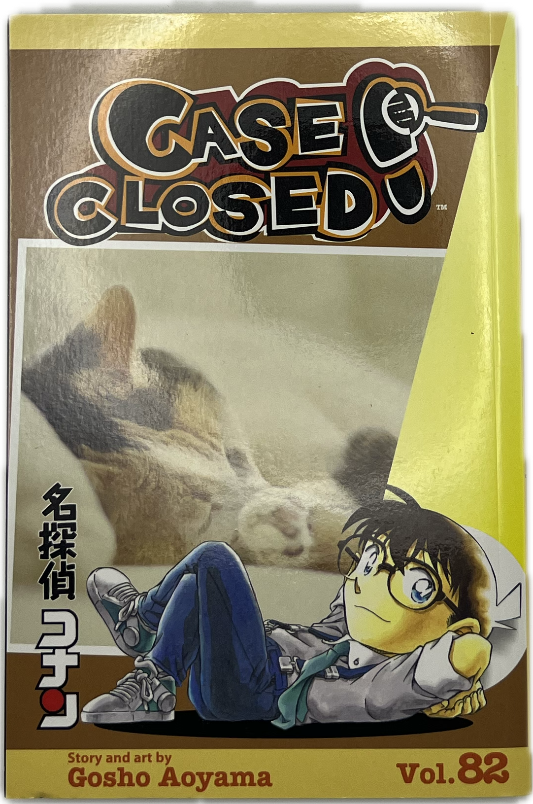 Case Closed 82