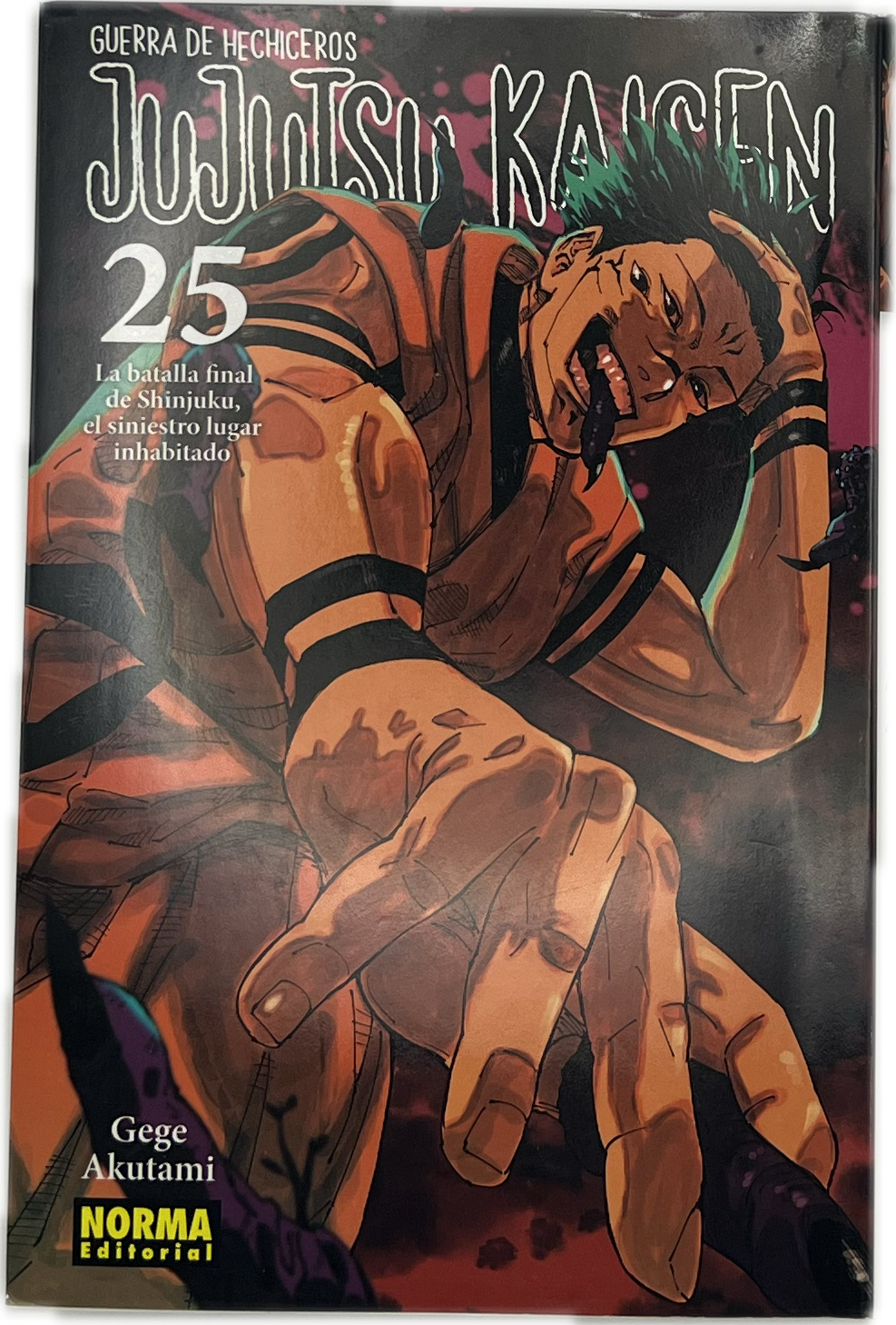 Jujutsu Kaisen 25 Spanish
