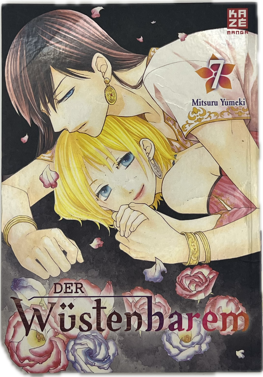 Der Wüstenharem 07