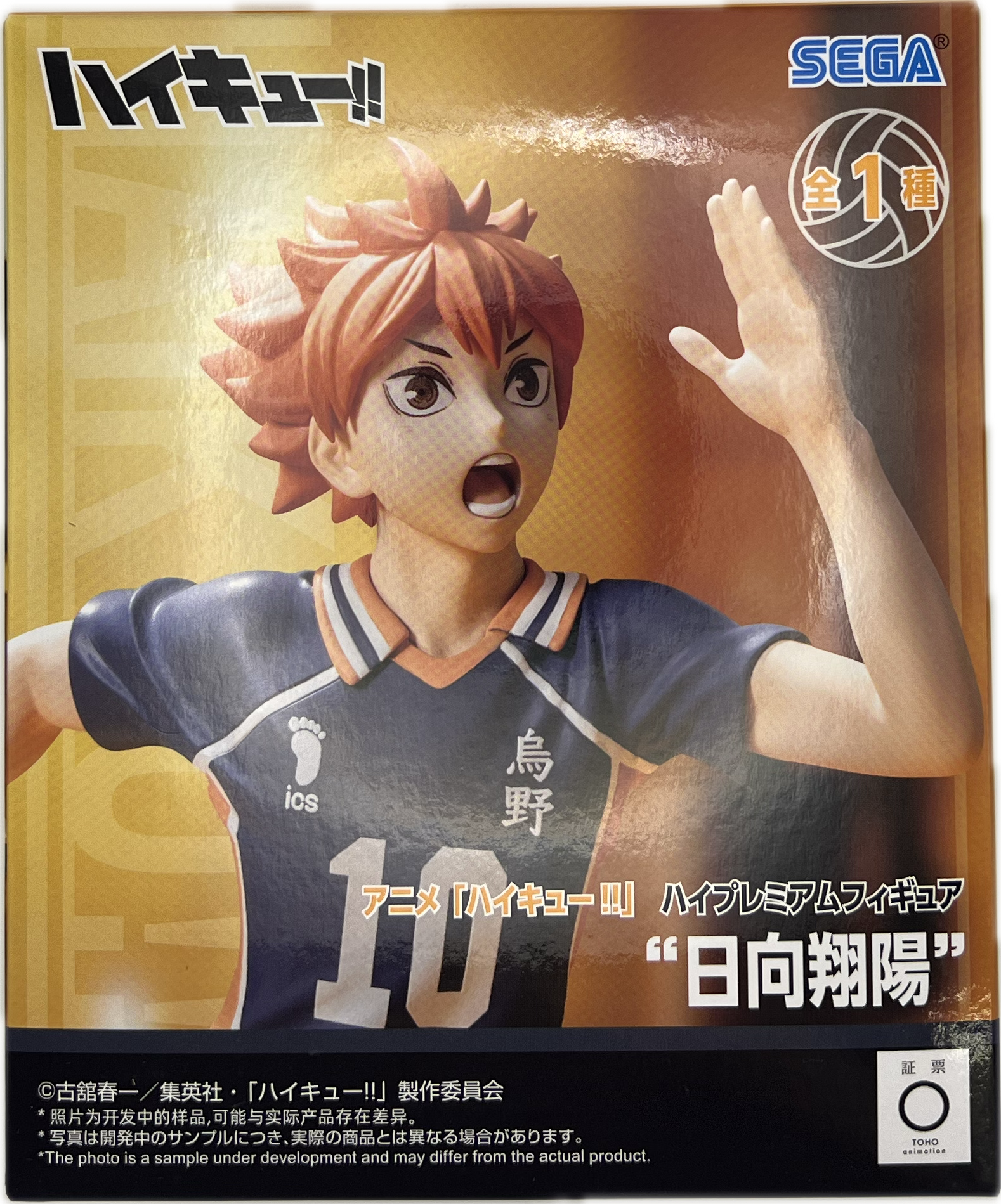 Shoyo Hinata Figure