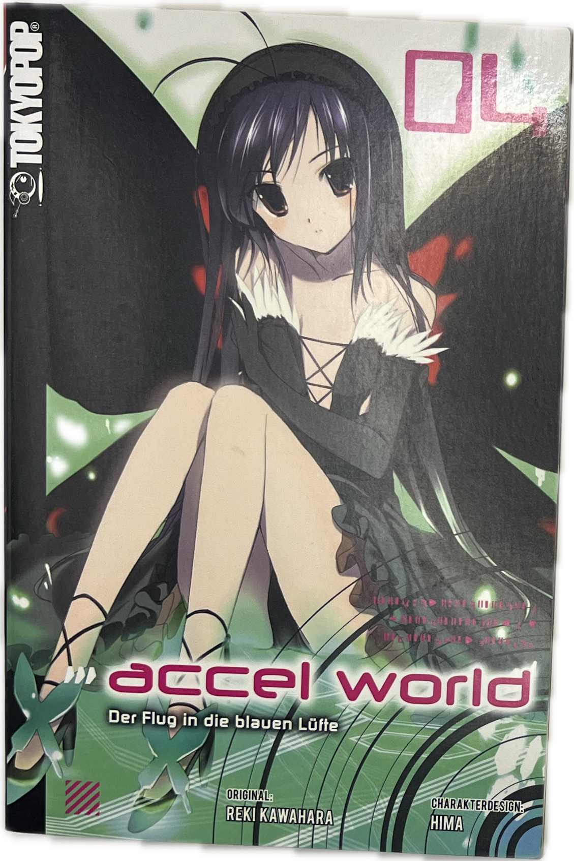 Accel World Novel 04